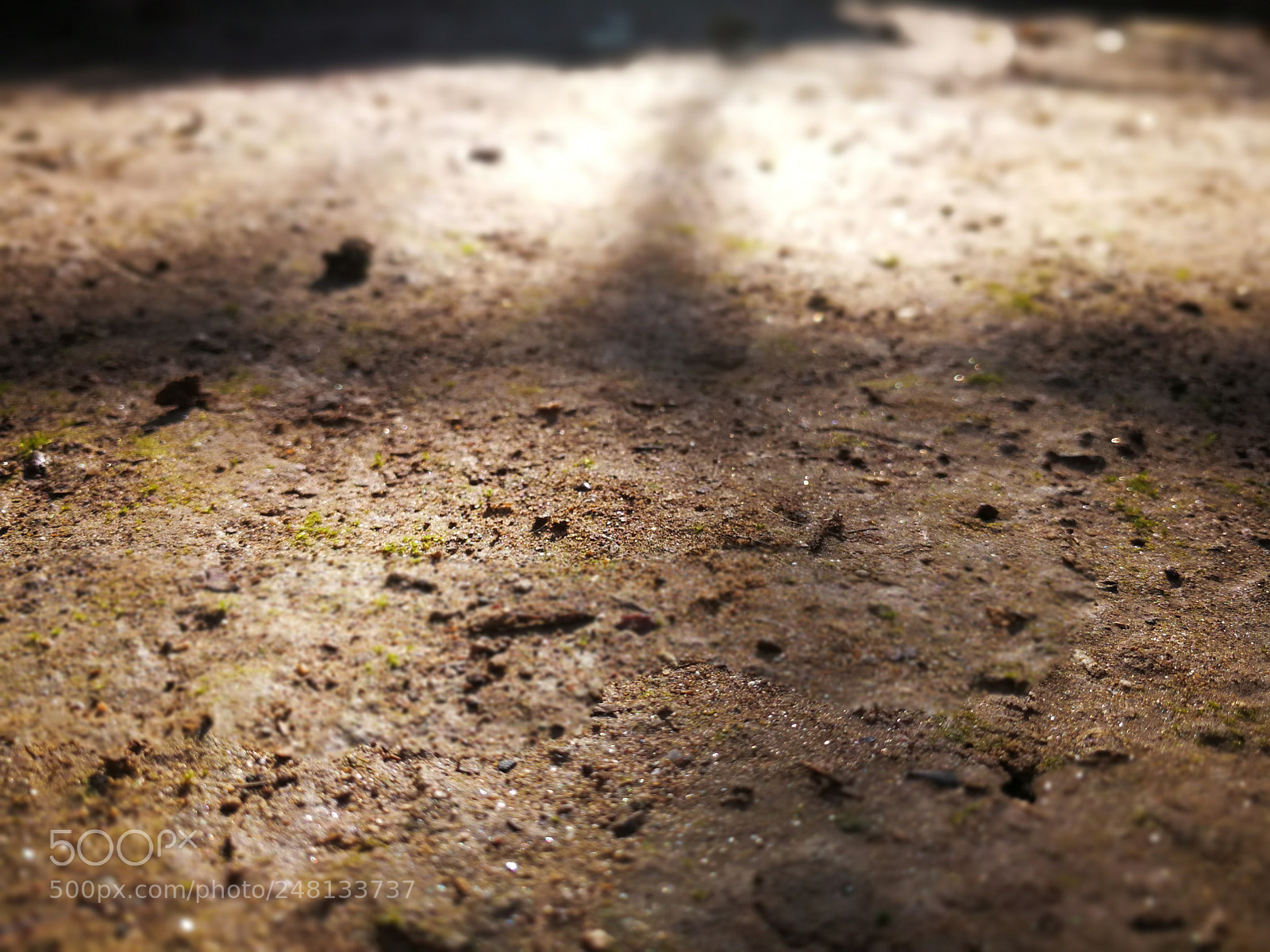 HUAWEI Mate 9 sample photo. Soil photography