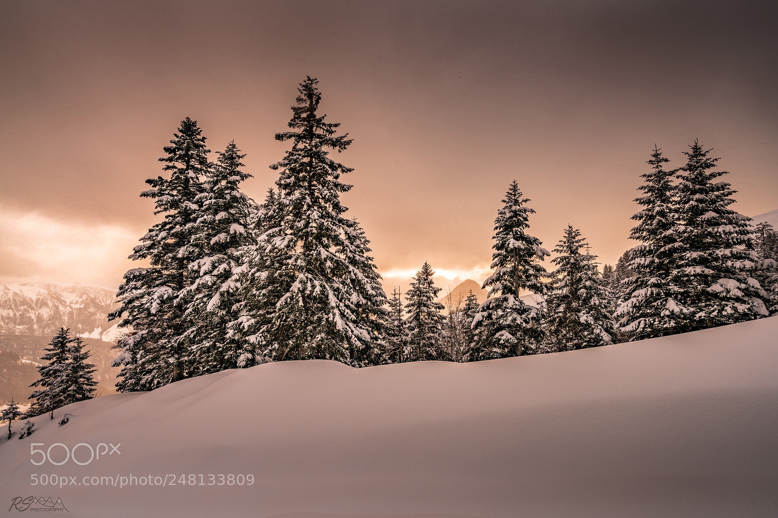Sony a7R II sample photo. Warm winter sunset behind photography