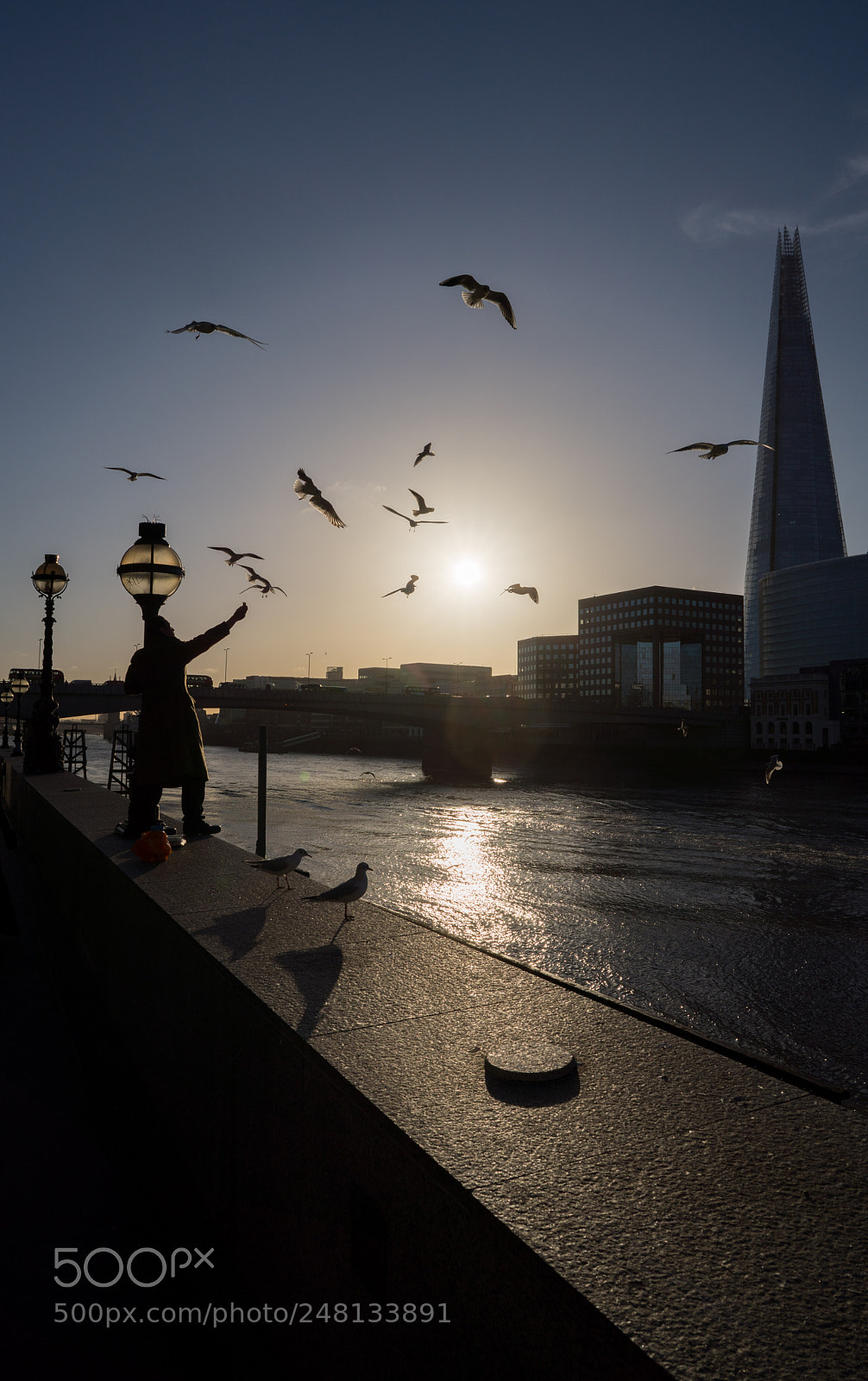 Sony a7R III sample photo. Seagulls, stop it now! photography
