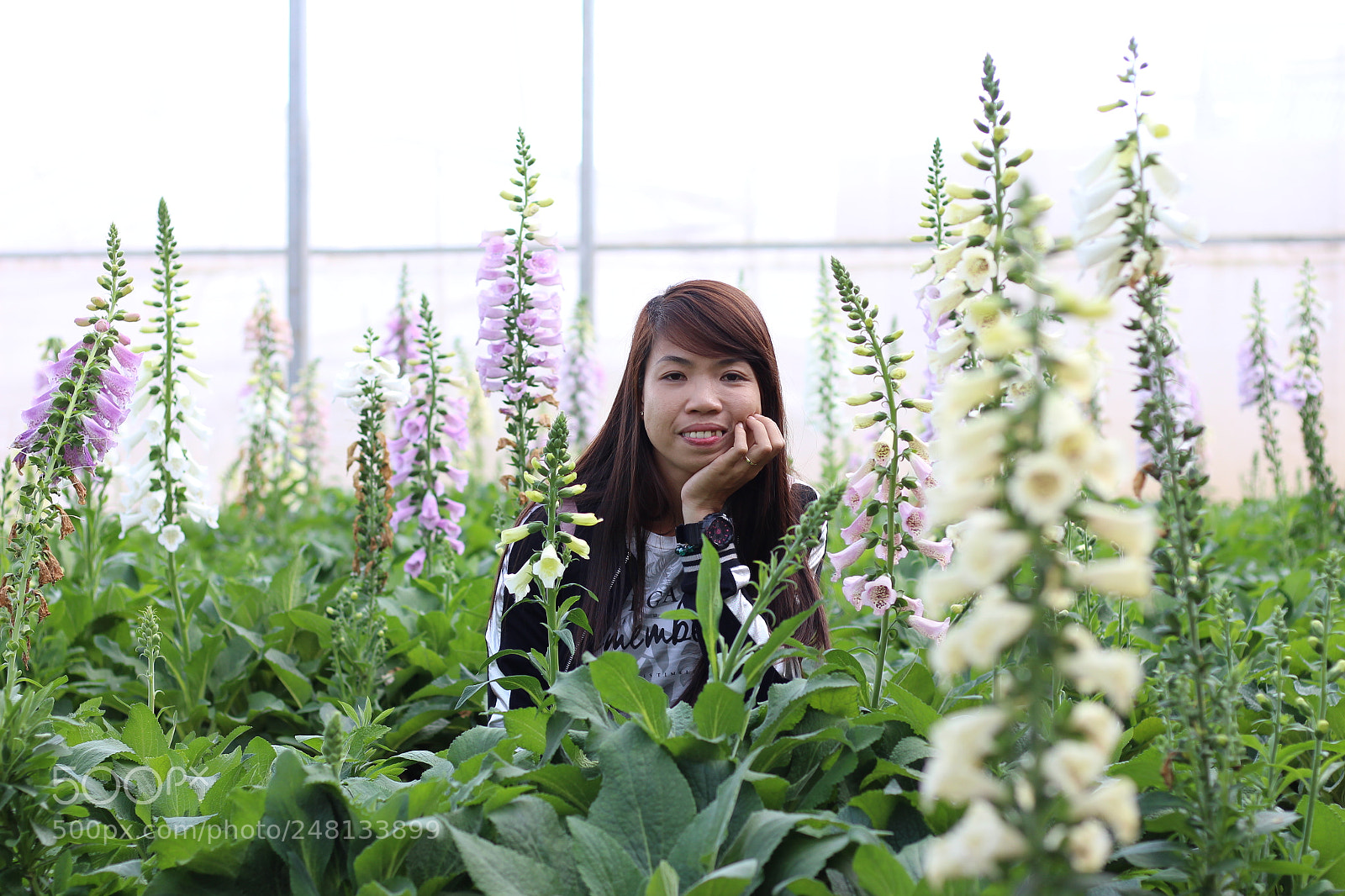 Canon EOS 700D (EOS Rebel T5i / EOS Kiss X7i) + Canon EF 50mm F1.8 STM sample photo. Img photography