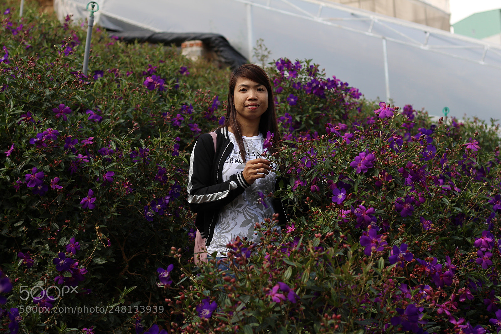 Canon EOS 700D (EOS Rebel T5i / EOS Kiss X7i) + Canon EF 50mm F1.8 STM sample photo. Img photography