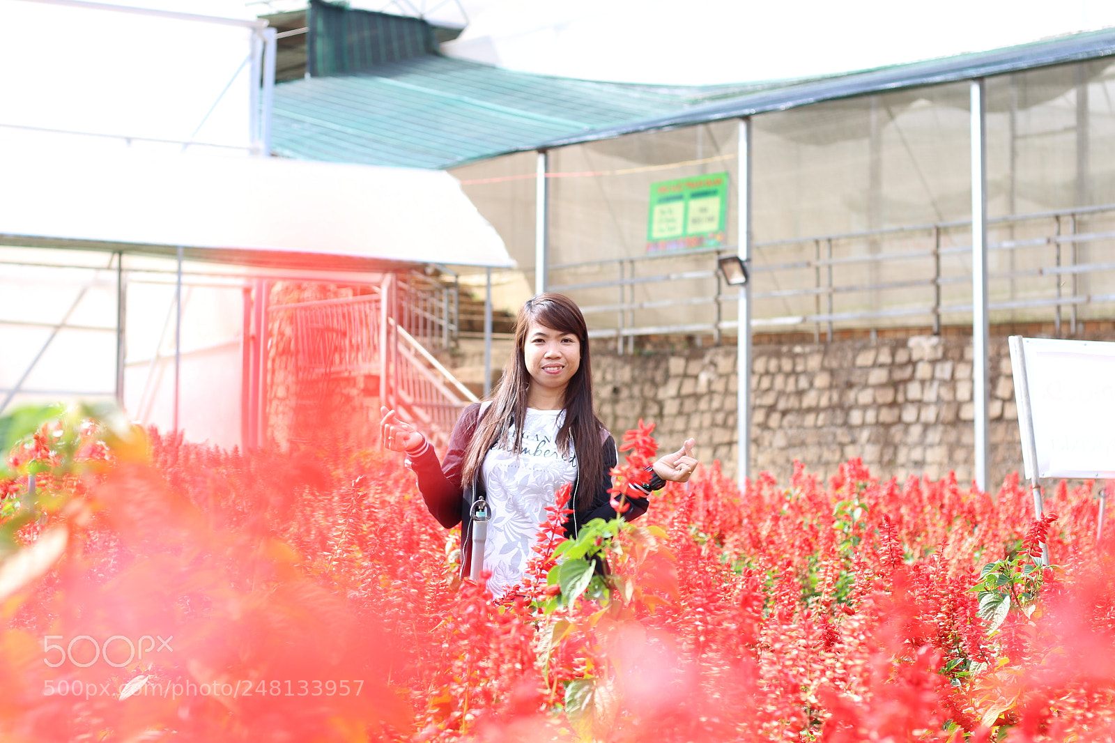 Canon EOS 700D (EOS Rebel T5i / EOS Kiss X7i) + Canon EF 50mm F1.8 STM sample photo. Img photography
