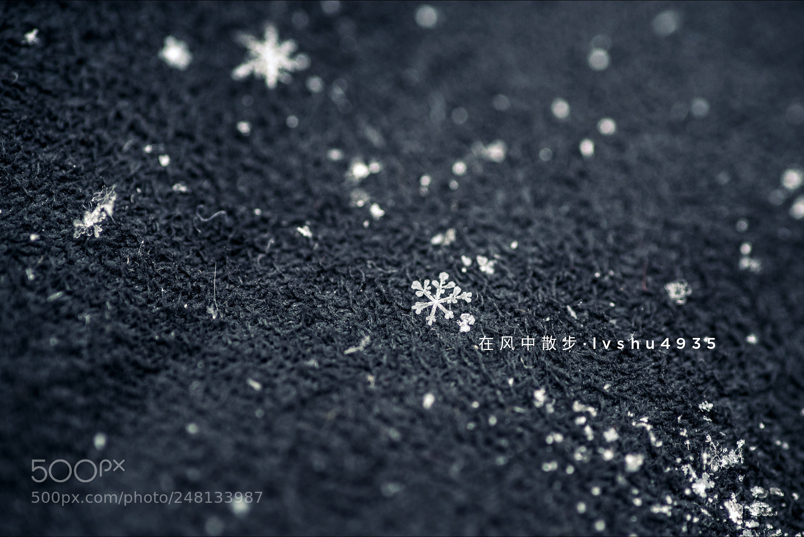 Nikon D800 sample photo. Untitled photography
