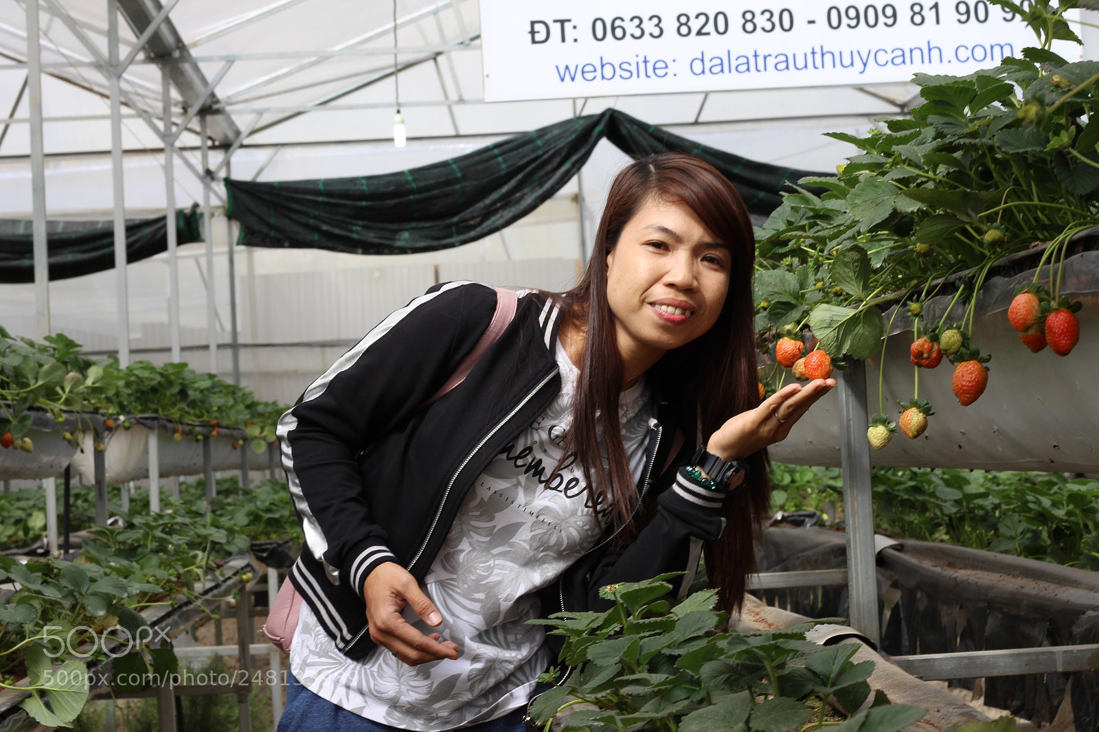 Canon EOS 700D (EOS Rebel T5i / EOS Kiss X7i) + Canon EF 50mm F1.8 STM sample photo. Img photography