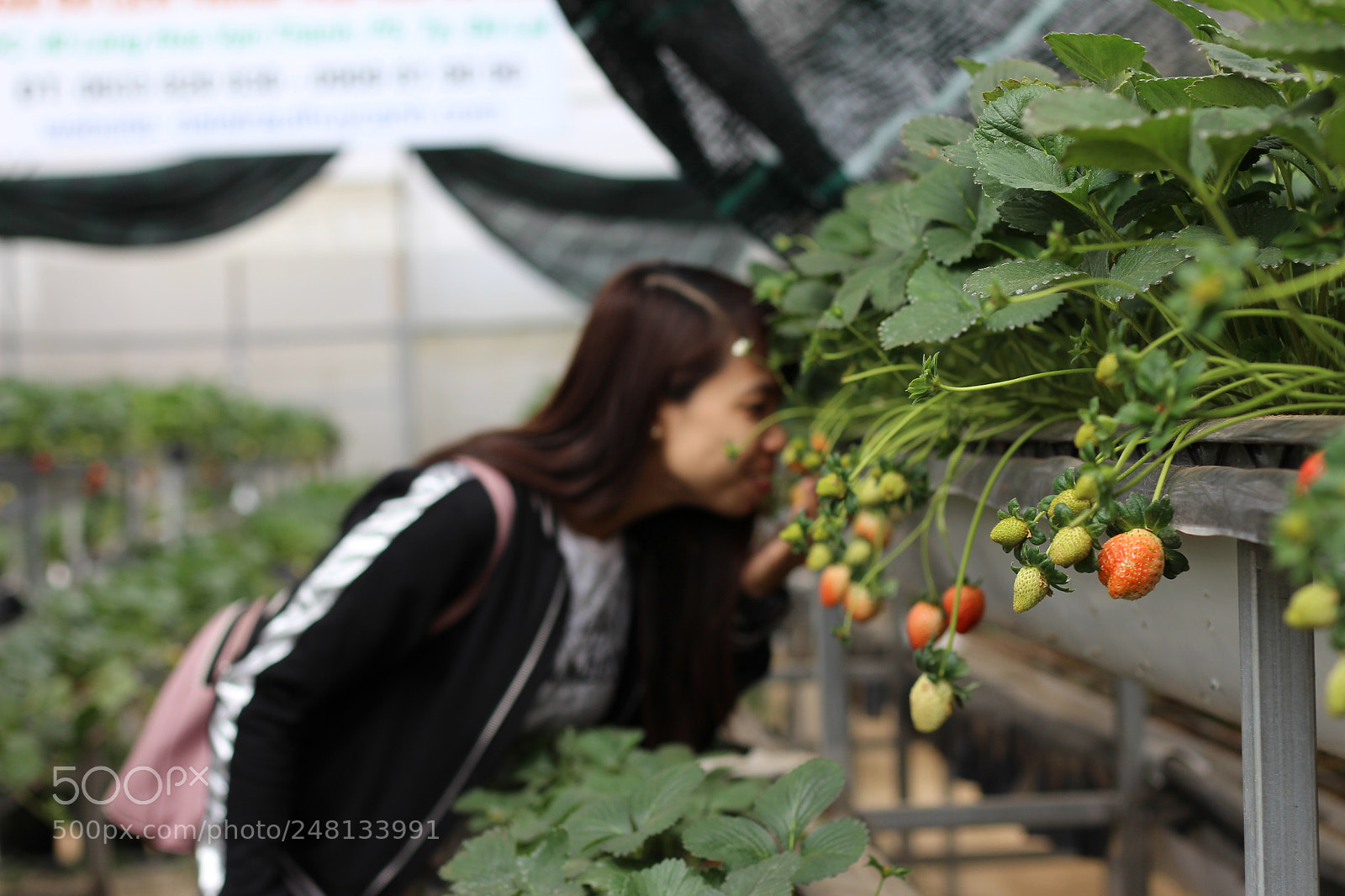 Canon EOS 700D (EOS Rebel T5i / EOS Kiss X7i) + Canon EF 50mm F1.8 STM sample photo. Img photography