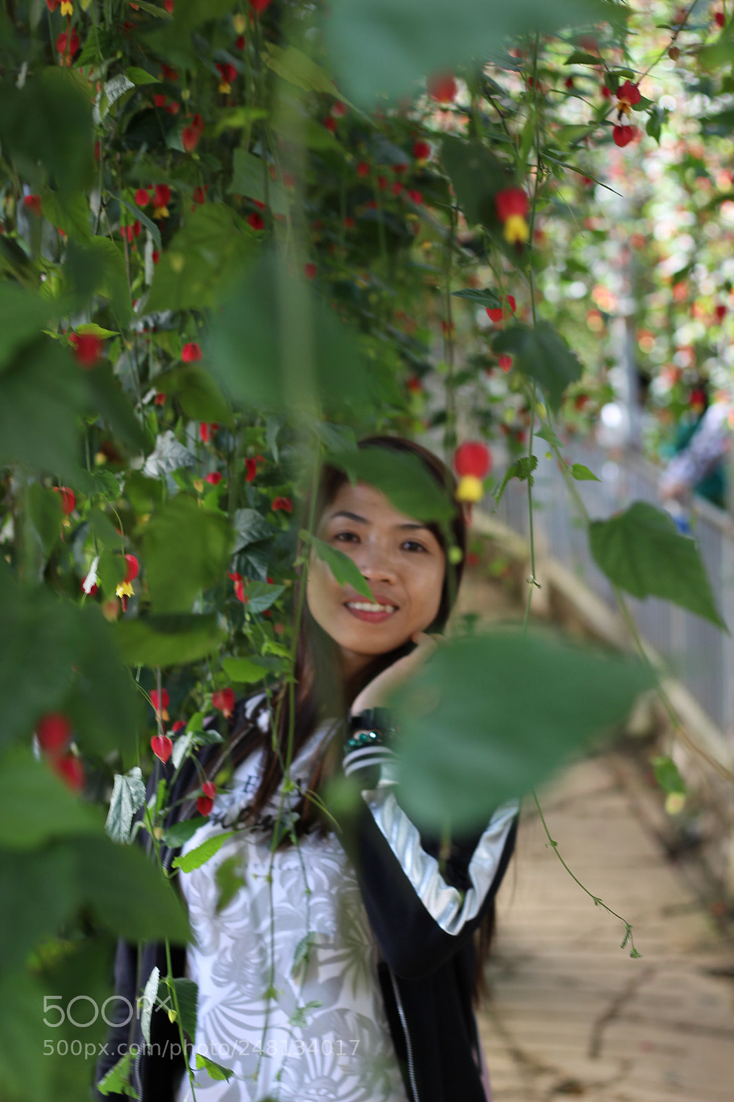 Canon EOS 700D (EOS Rebel T5i / EOS Kiss X7i) sample photo. Img photography