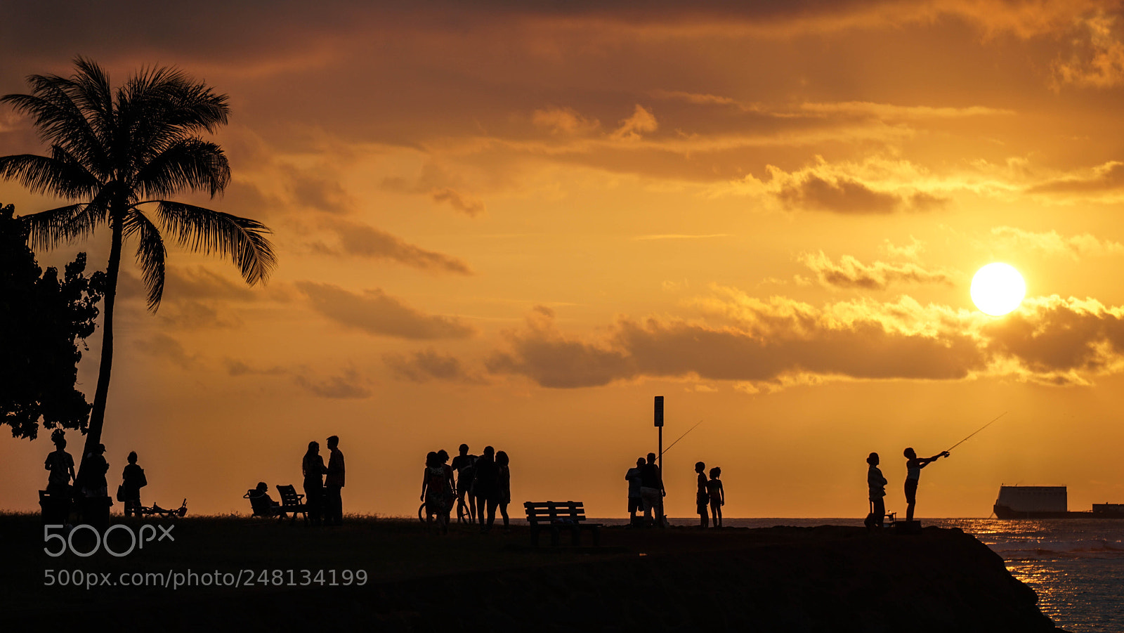 Sony a5100 sample photo. Magic island summer sunset photography