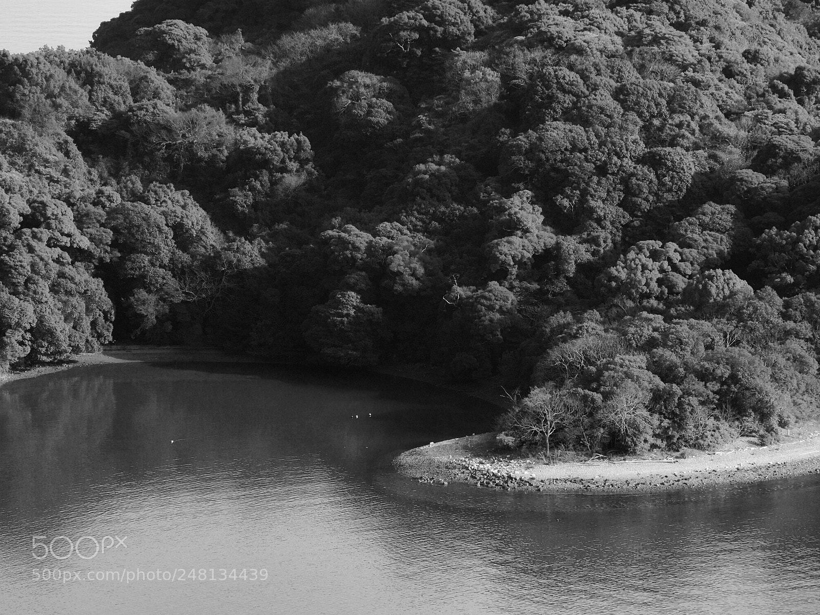 Olympus OM-D E-M5 II sample photo. Ikushima photography