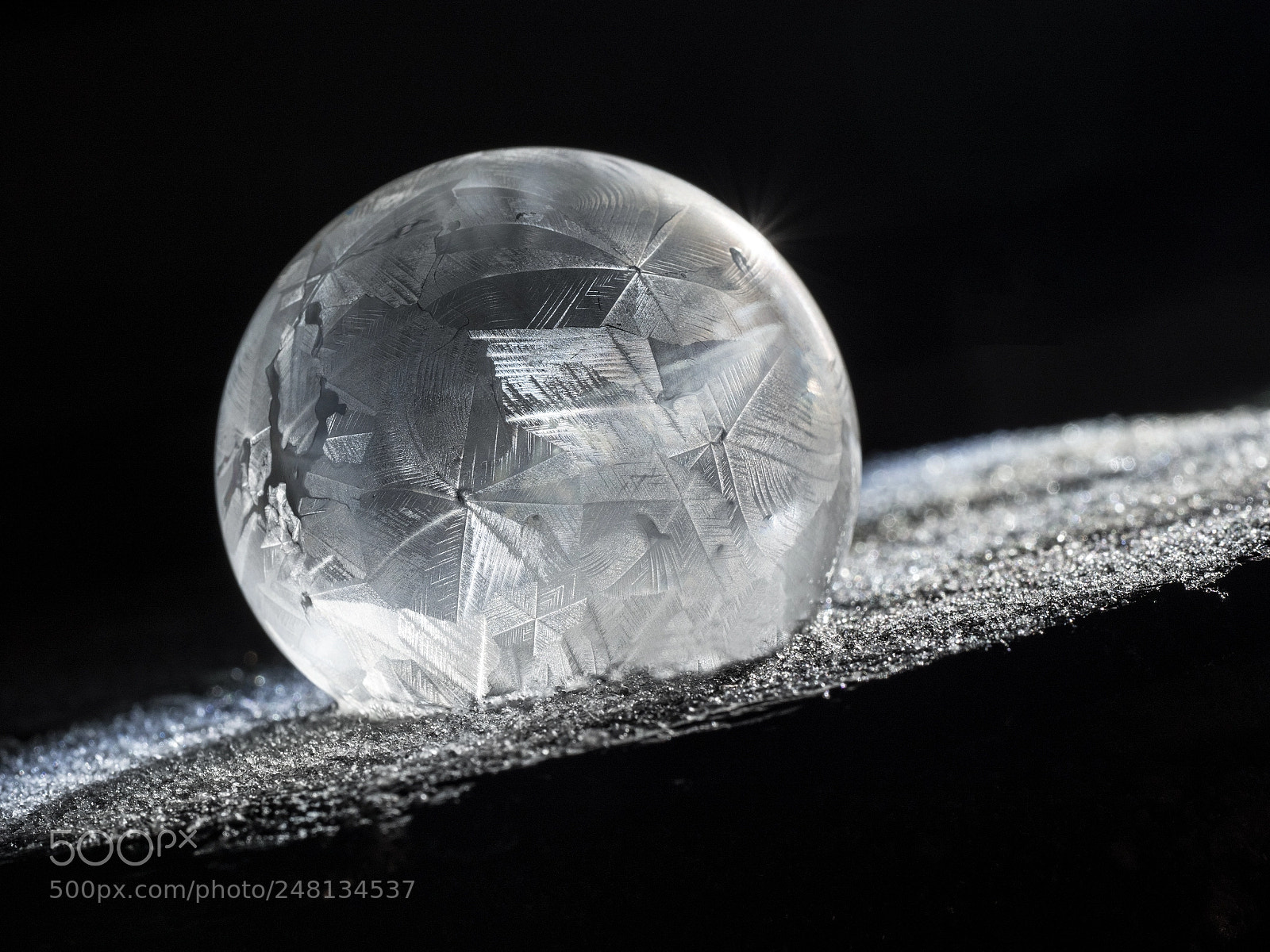 Olympus OM-D E-M1 Mark II sample photo. Frozen bubble photography