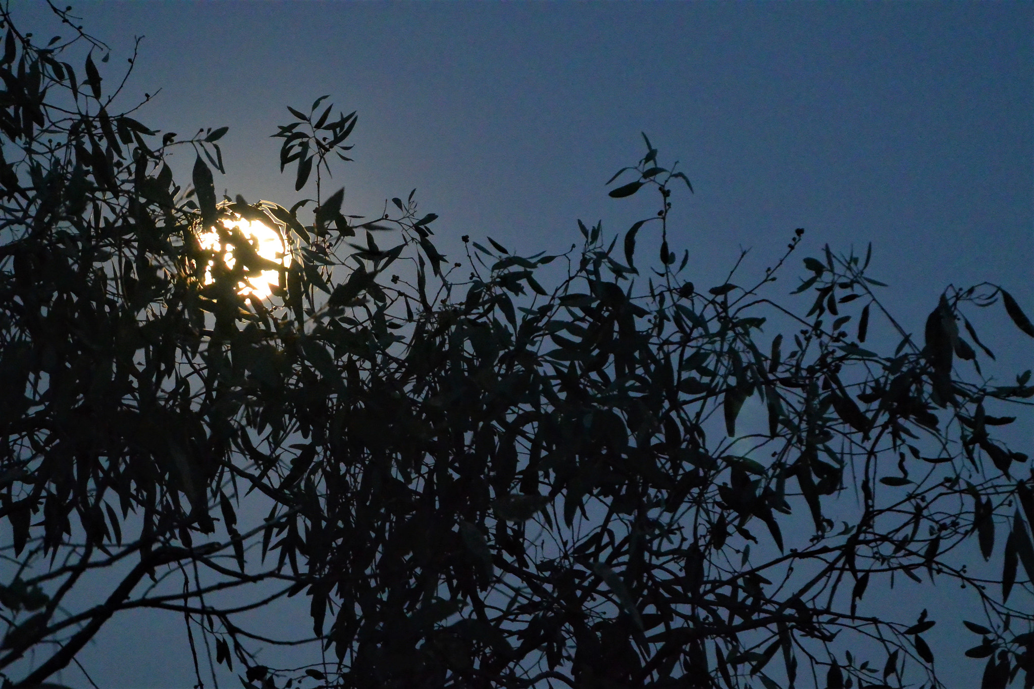 Nikon 1 AW1 sample photo. Moon photography