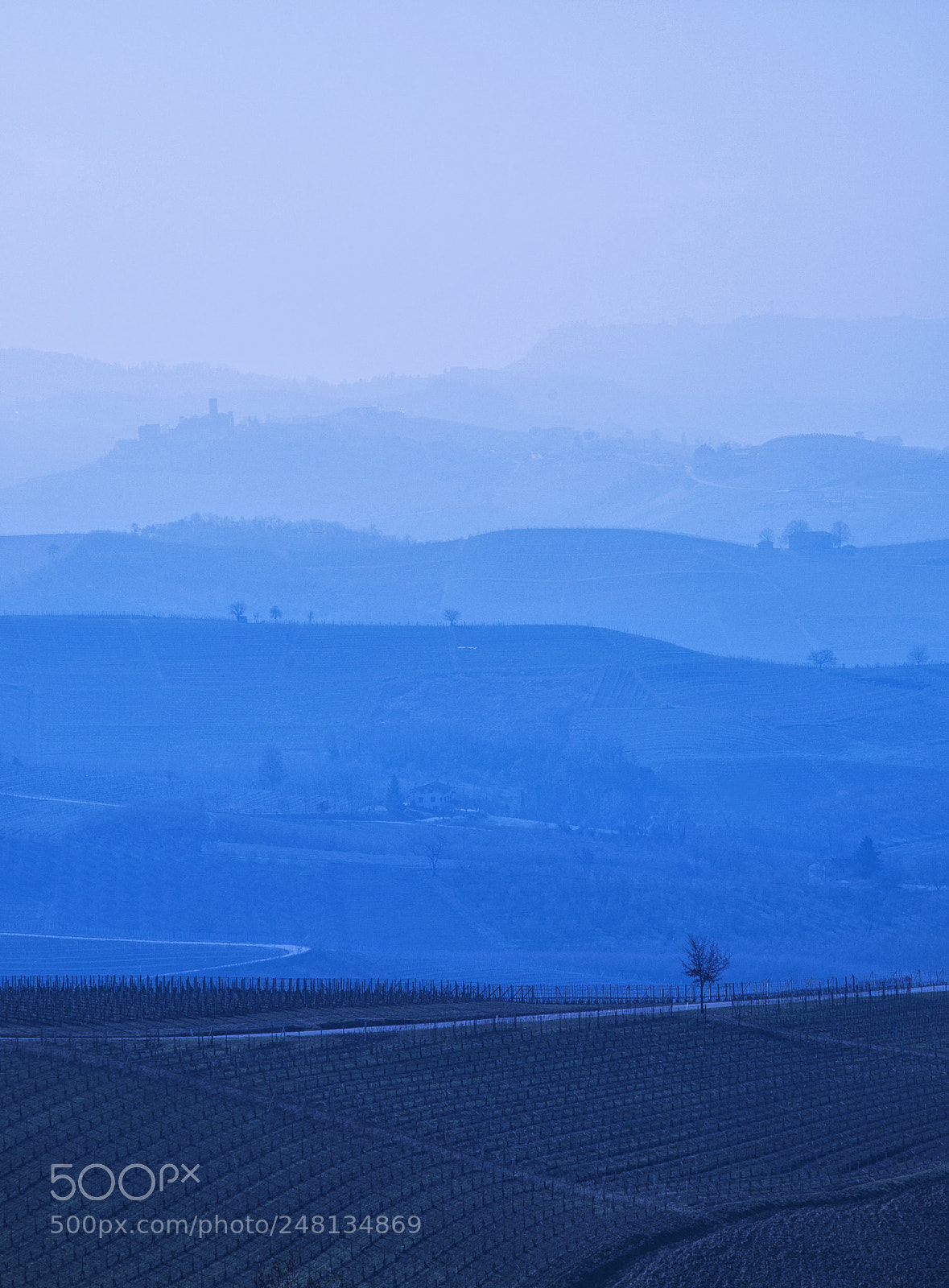 Nikon D800 sample photo. Early morning photography