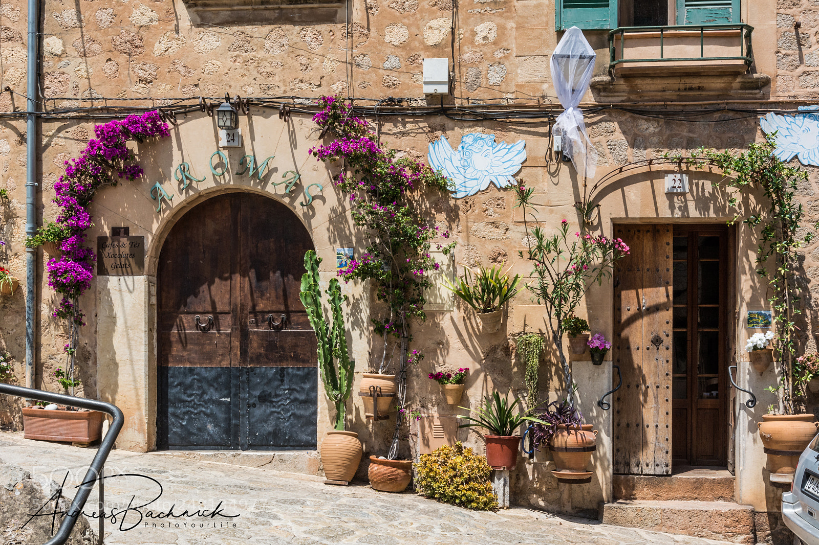 Nikon D5200 sample photo. Beauty of an old photography