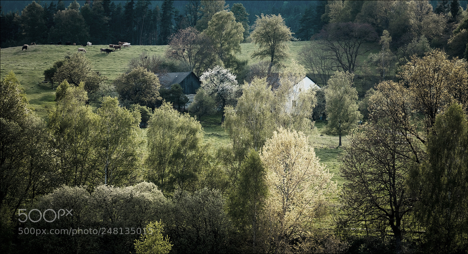 Fujifilm X-T1 sample photo. Springtime photography