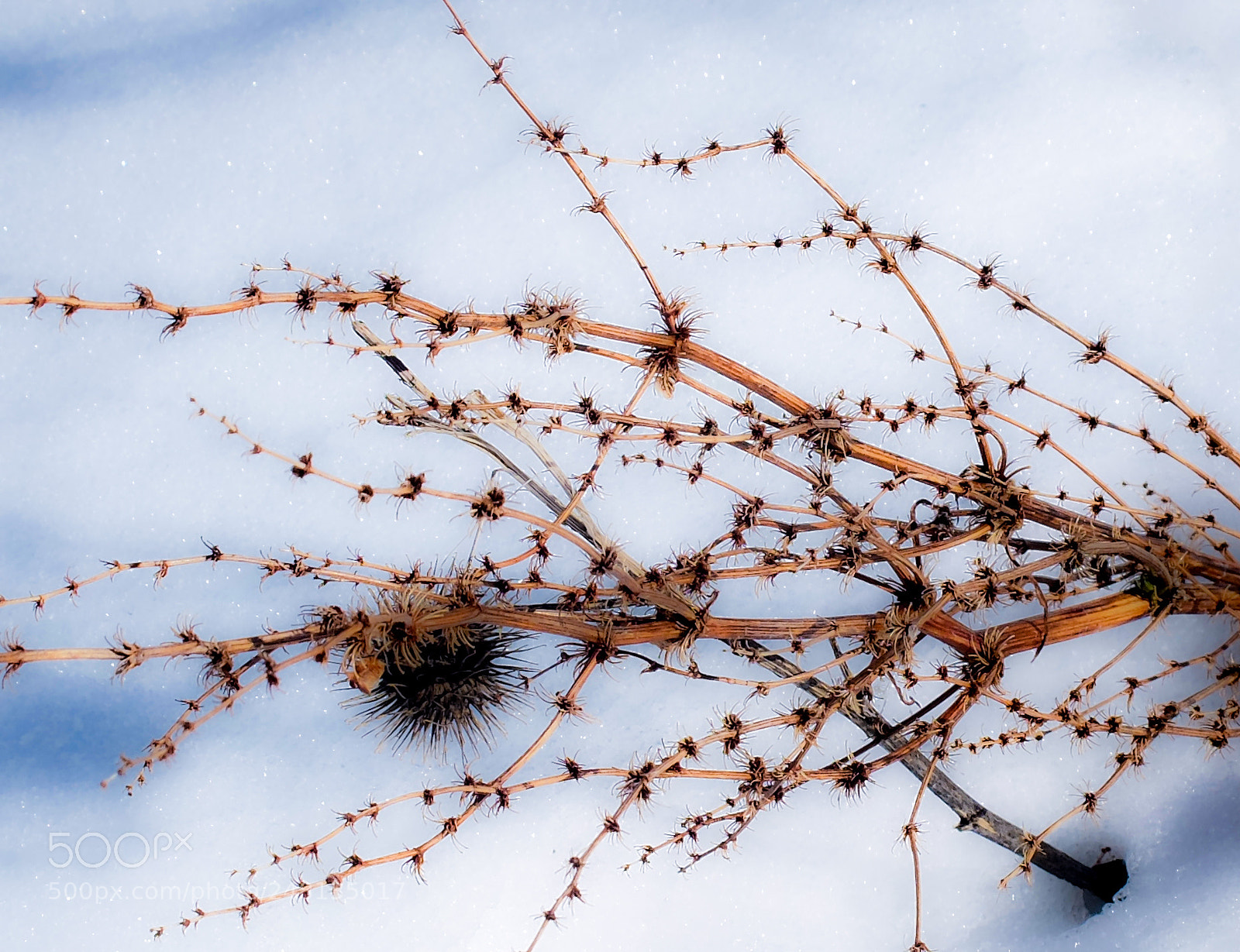 Fujifilm X20 sample photo. Snow photography
