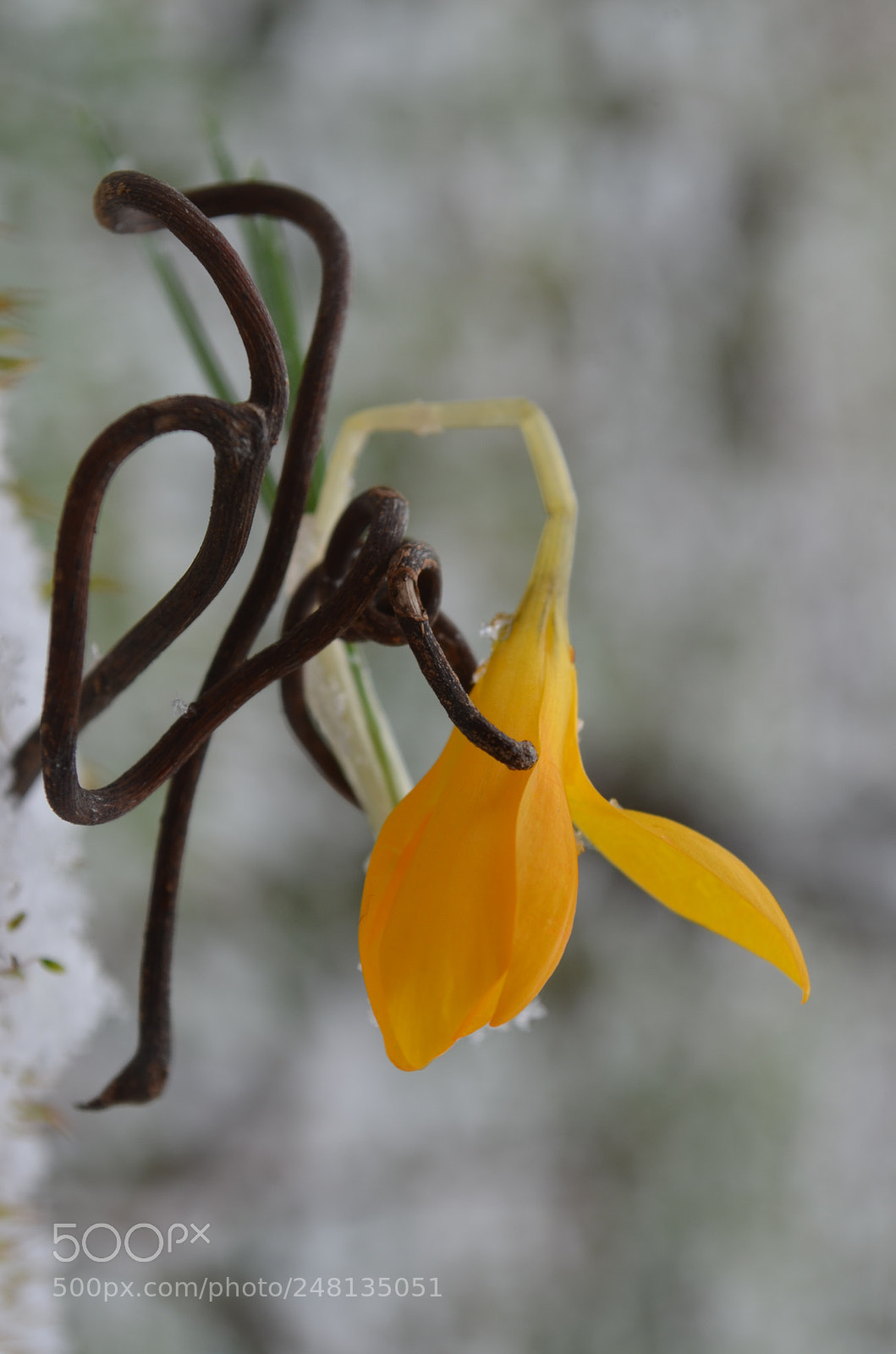 Nikon D5100 sample photo. Hold me tight photography