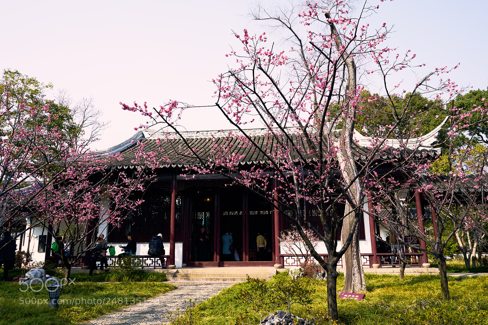 Sony a7 II sample photo. 可园庭院 photography