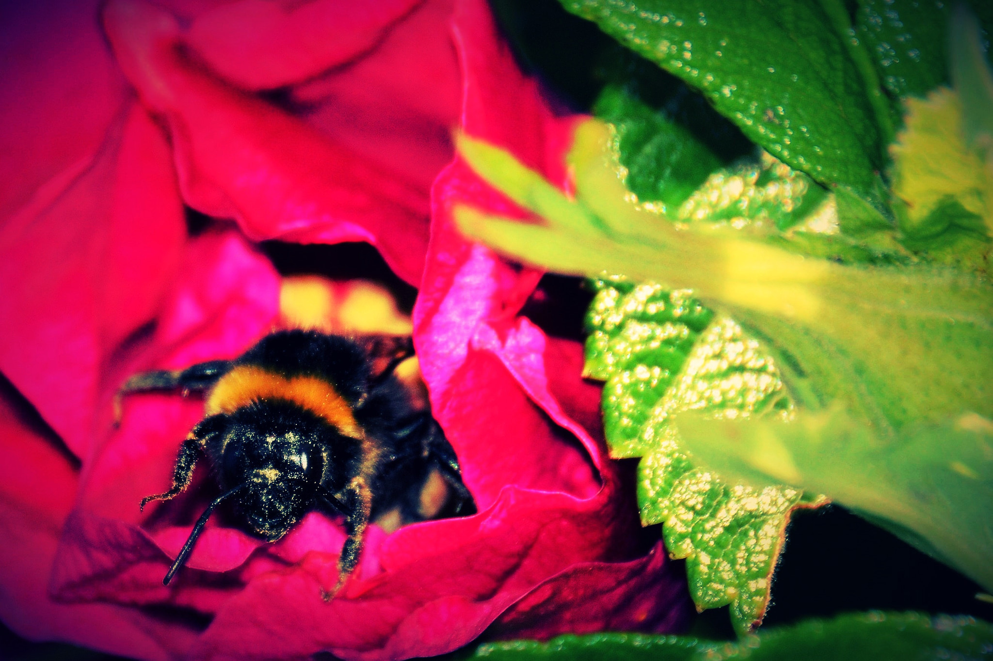 Nikon D3200 sample photo