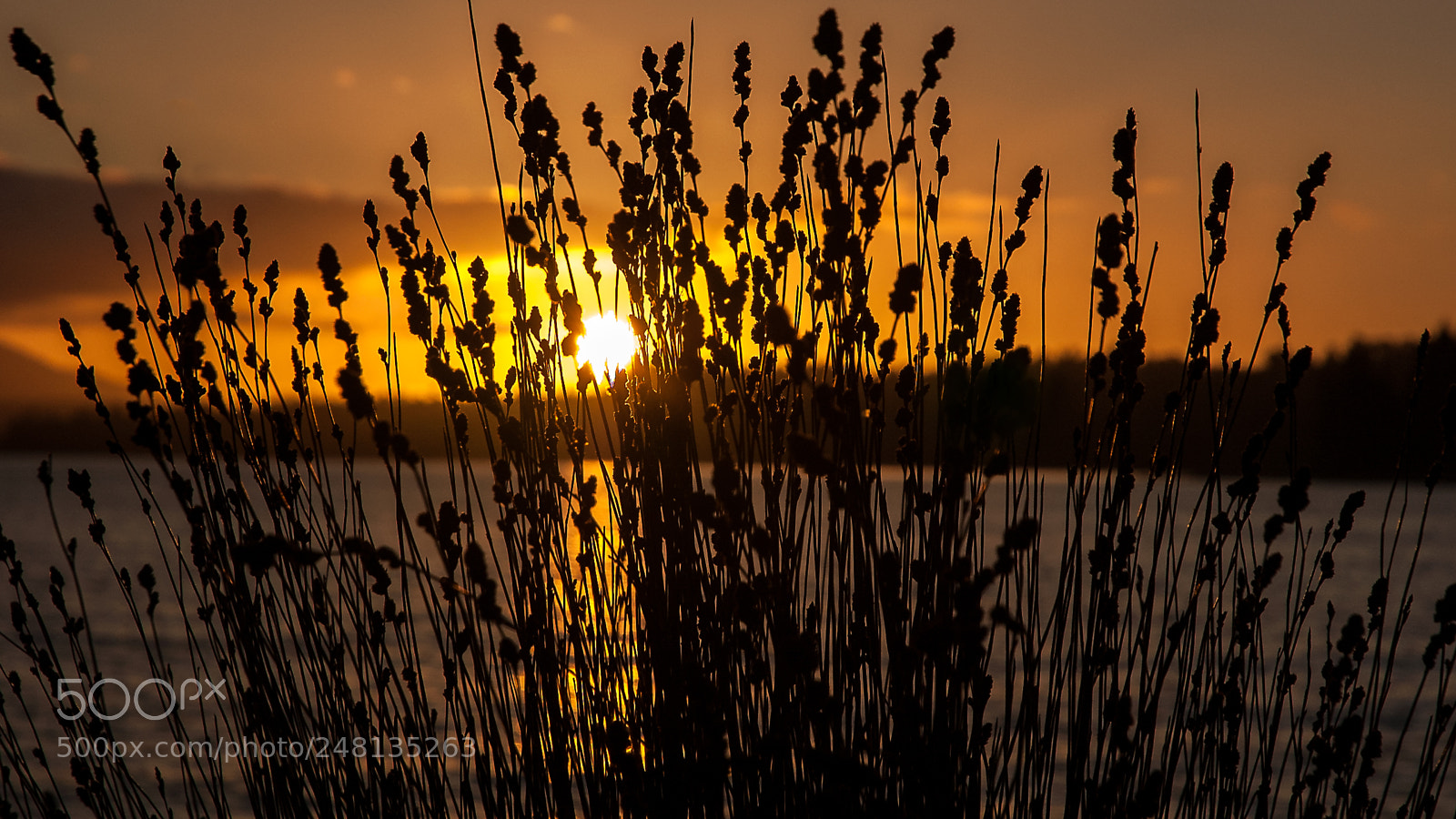 Nikon D70s sample photo. Lake brunner sunset photography
