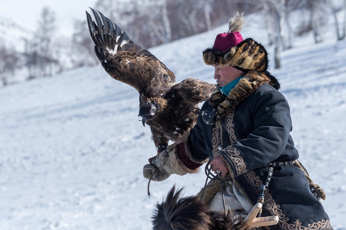 Nikon D500 sample photo. Hunter with his eagle photography