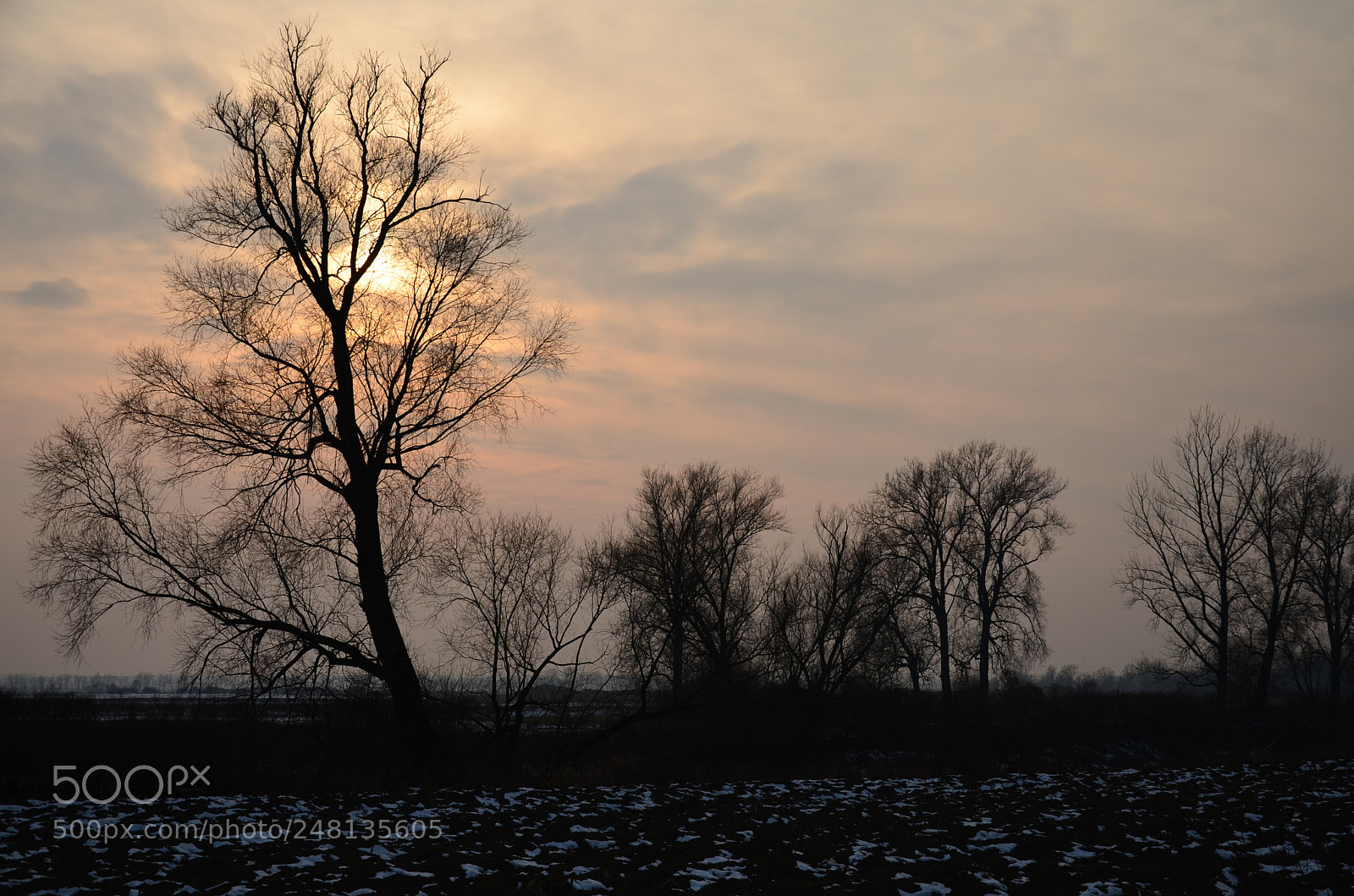 Nikon D5100 sample photo. 297 photography