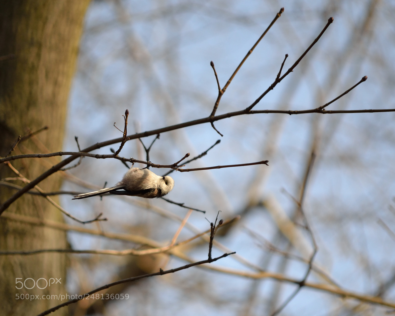 Nikon D3100 sample photo. Hanging around photography
