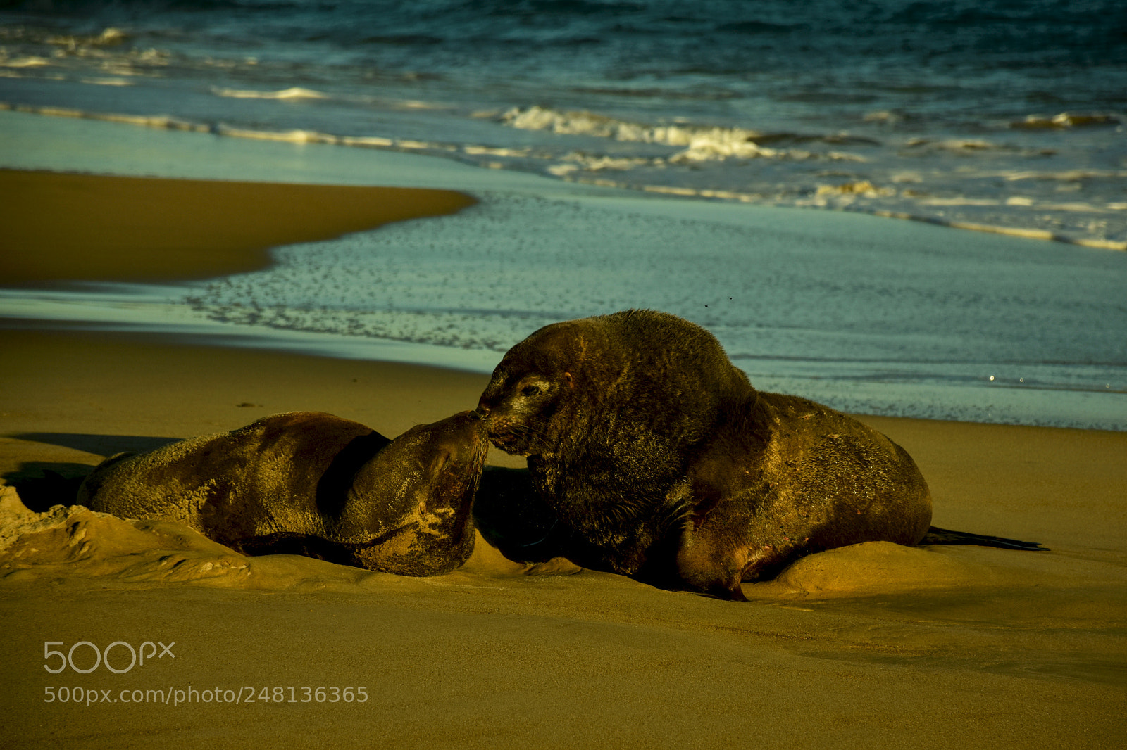 Nikon D5500 sample photo. Romance on the beach photography