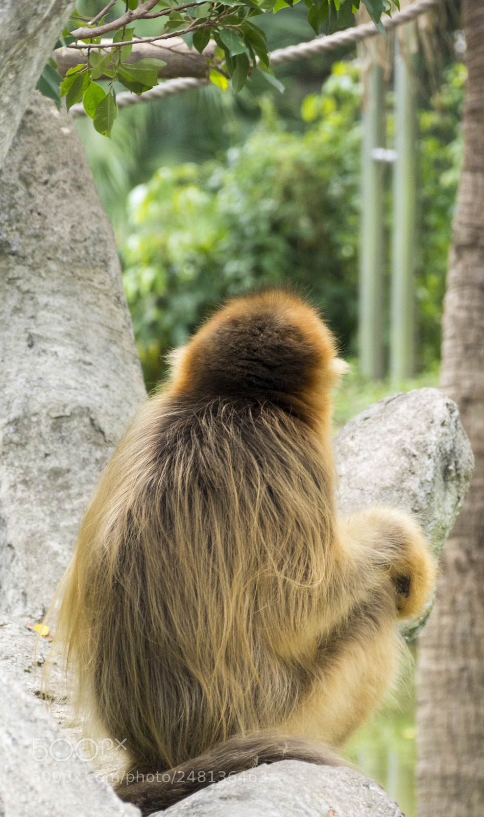 Nikon D7100 sample photo. How can i escape photography