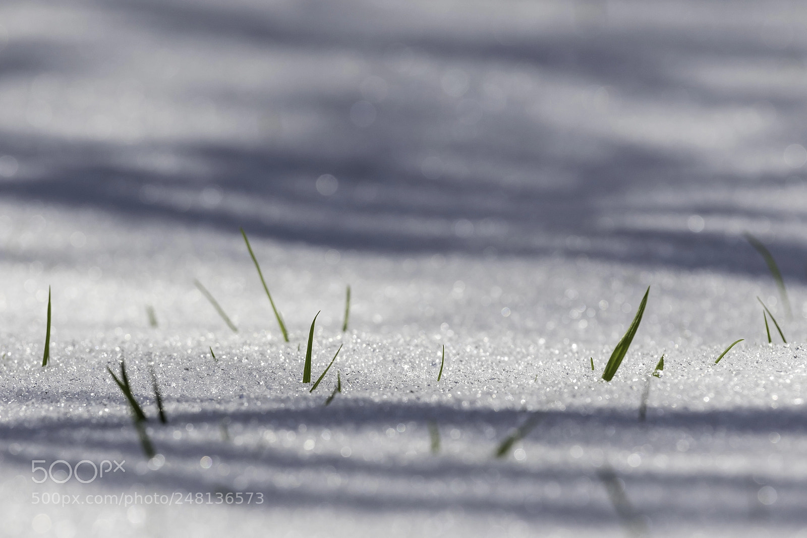 Canon EOS 7D Mark II sample photo. The last winter days photography