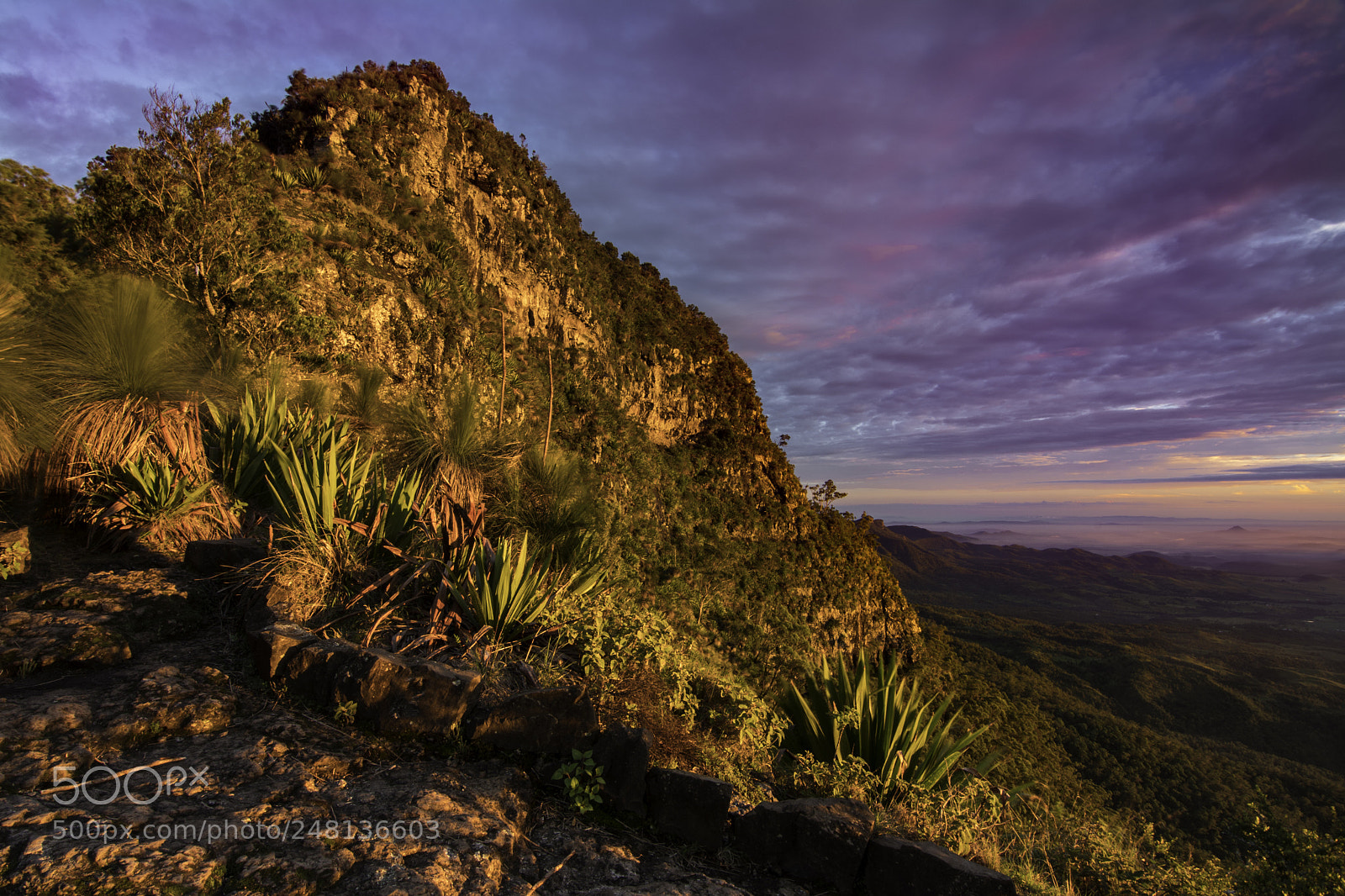 Nikon D500 sample photo. Mt cordeaux dome sunrise photography