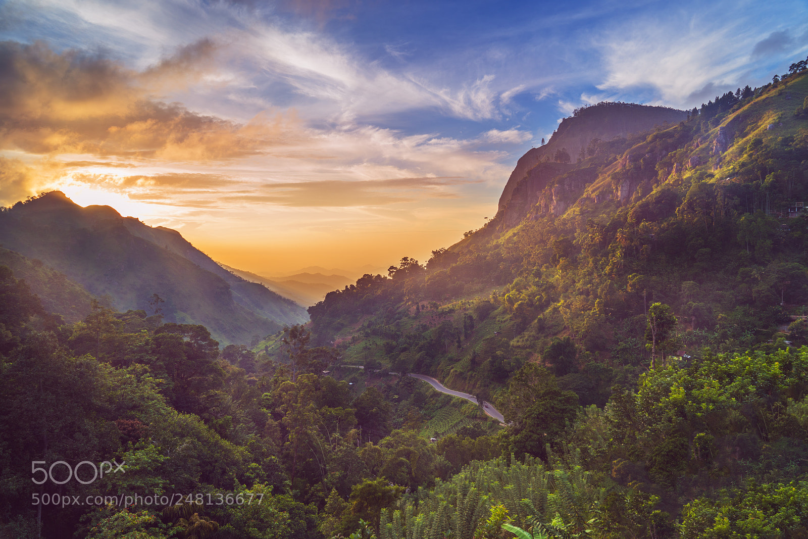 Sony a7 II sample photo. Highlands of sri lanka photography