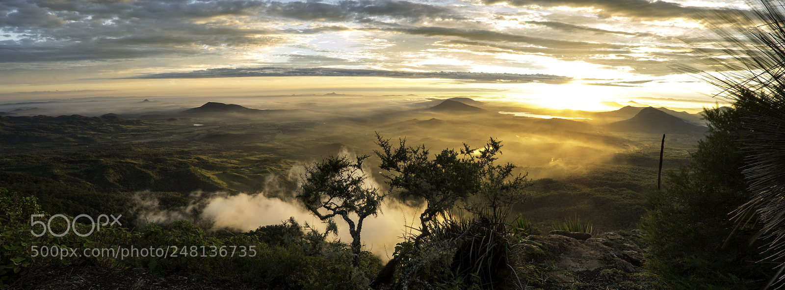 Nikon D500 sample photo. Sunrise over fassifern photography