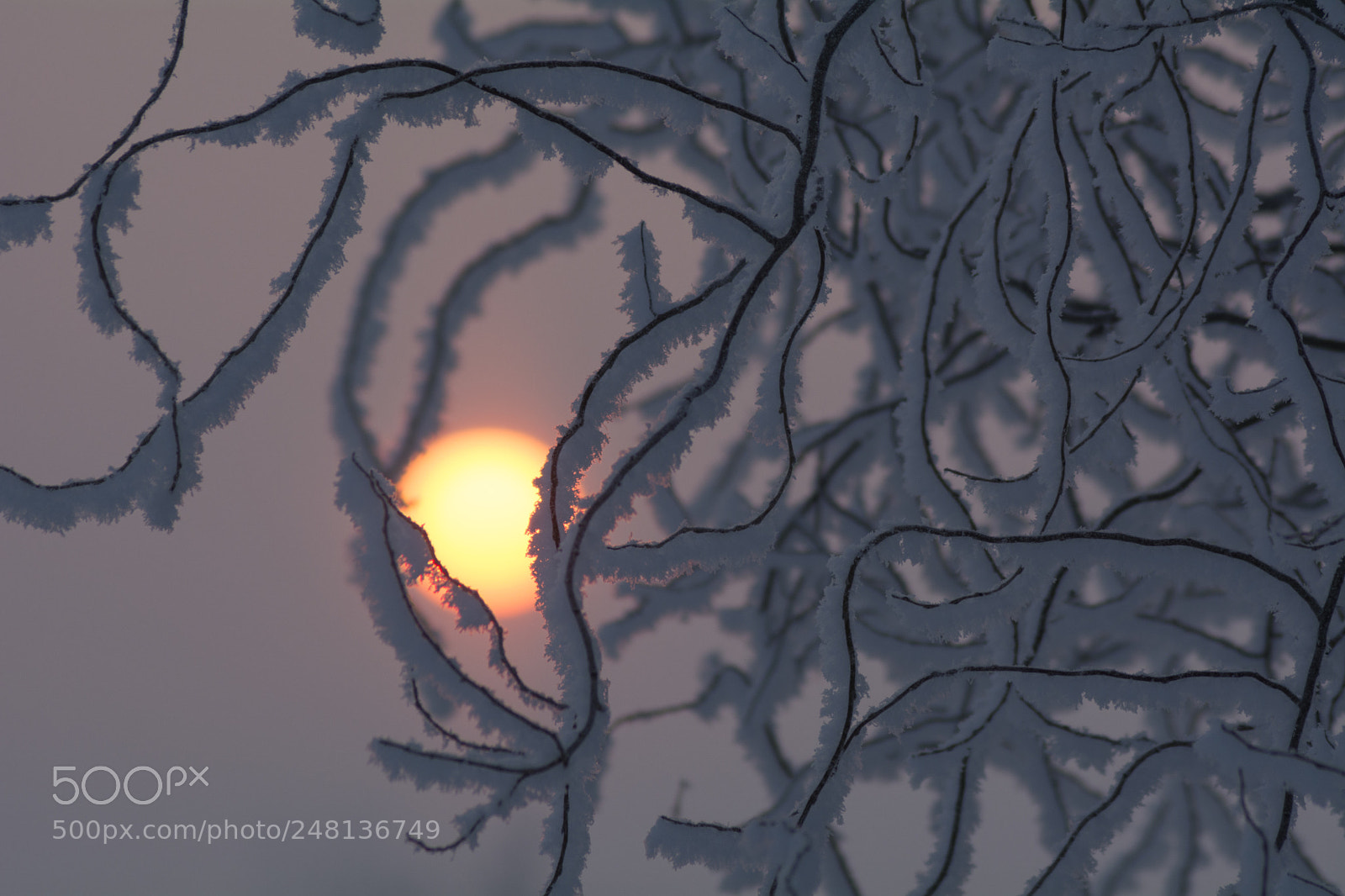 Nikon D7100 sample photo. Sunrise photography