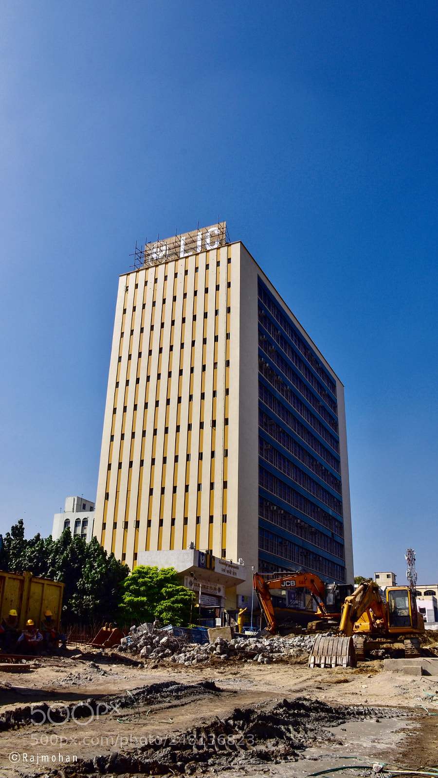Nikon D5600 sample photo. The giant lic in photography