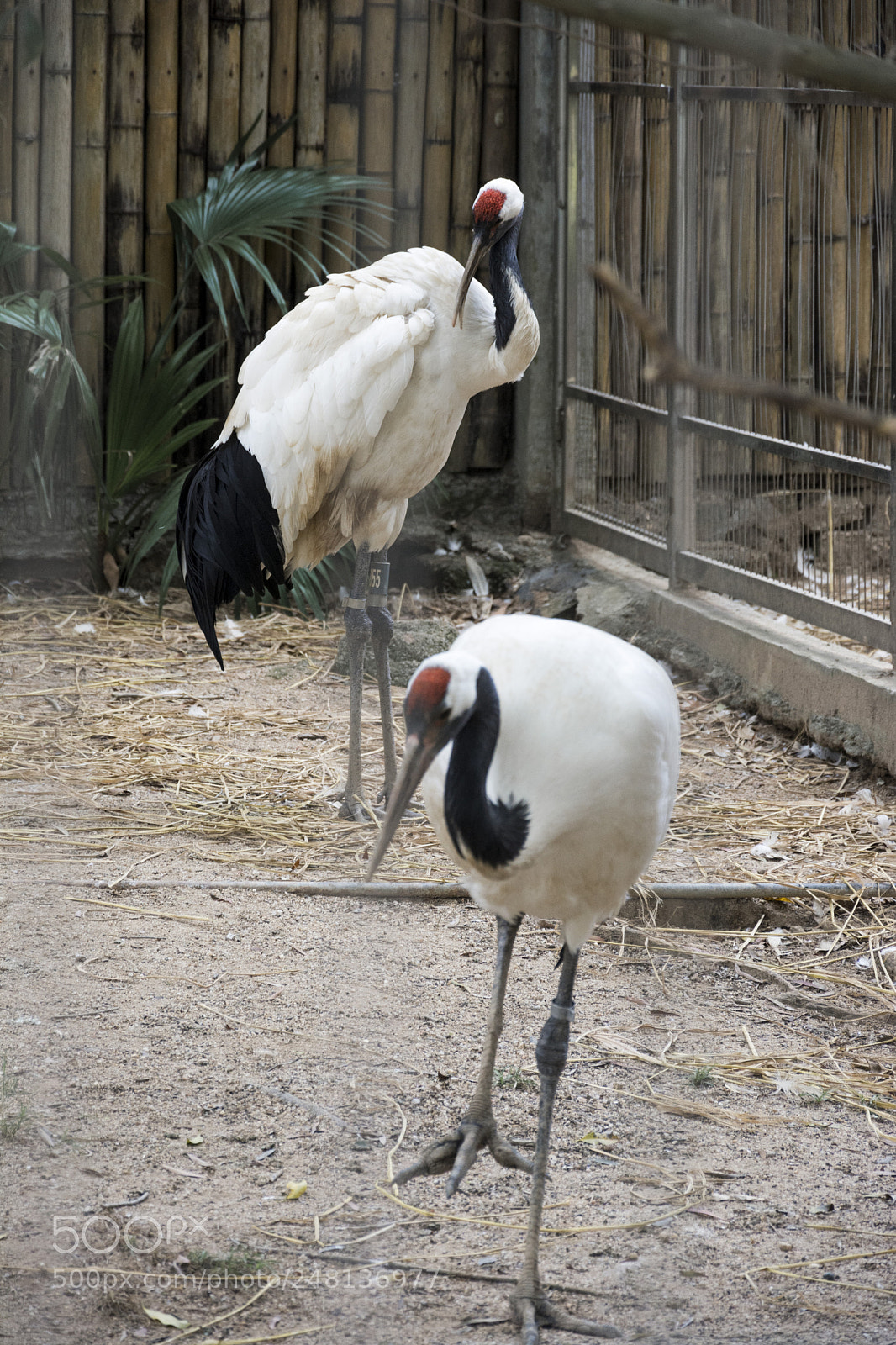 Nikon D7100 sample photo. Hey. dude. i don't photography