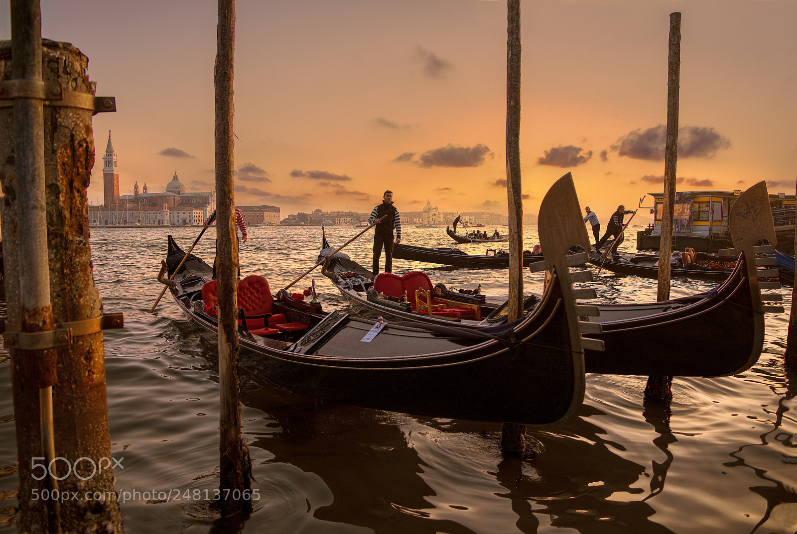 Nikon D800E sample photo. Gondolas in venice px photography