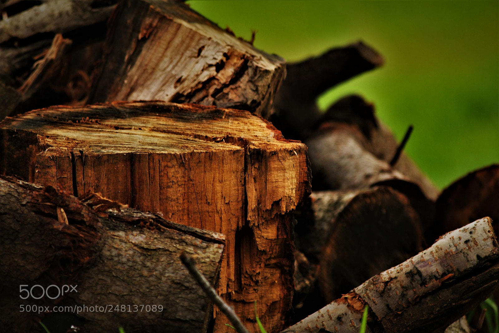 Canon EOS 60D sample photo. Untitled photography