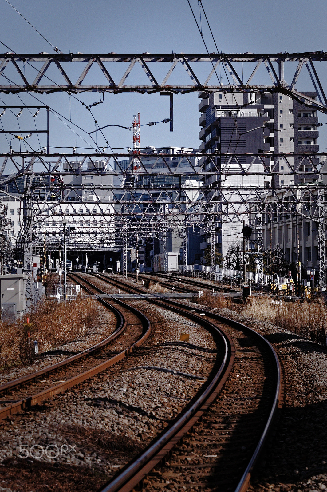 Pentax K-3 II sample photo