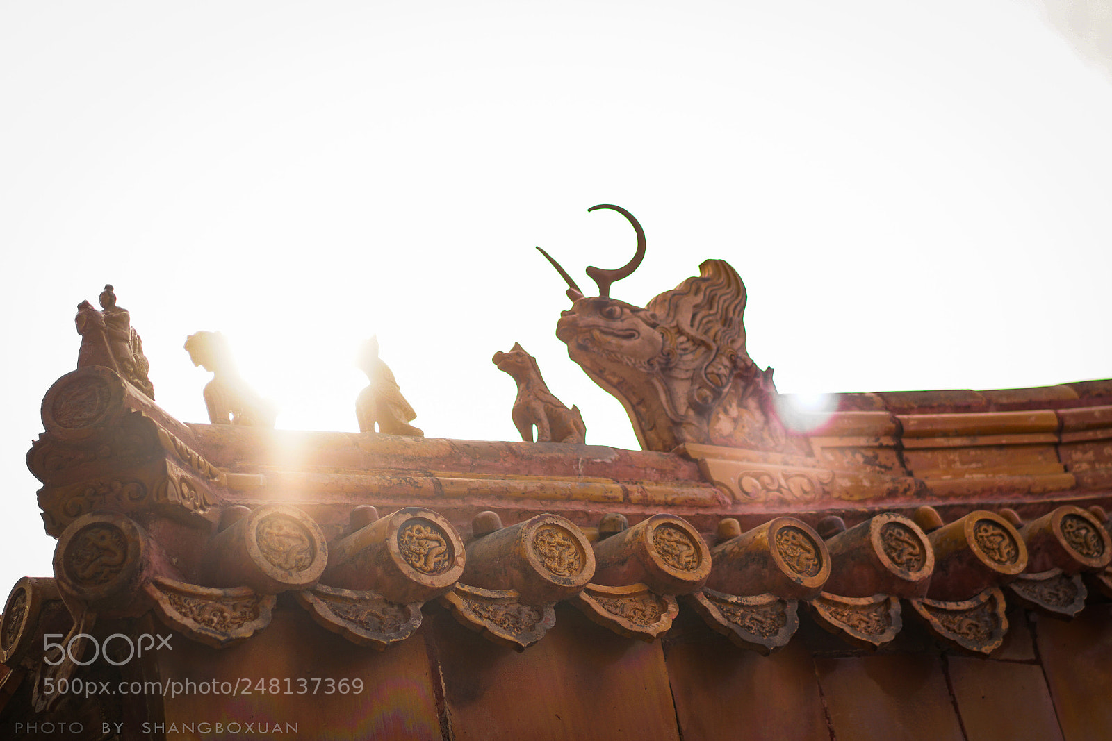 Sony a7R II sample photo. Sunshine photography