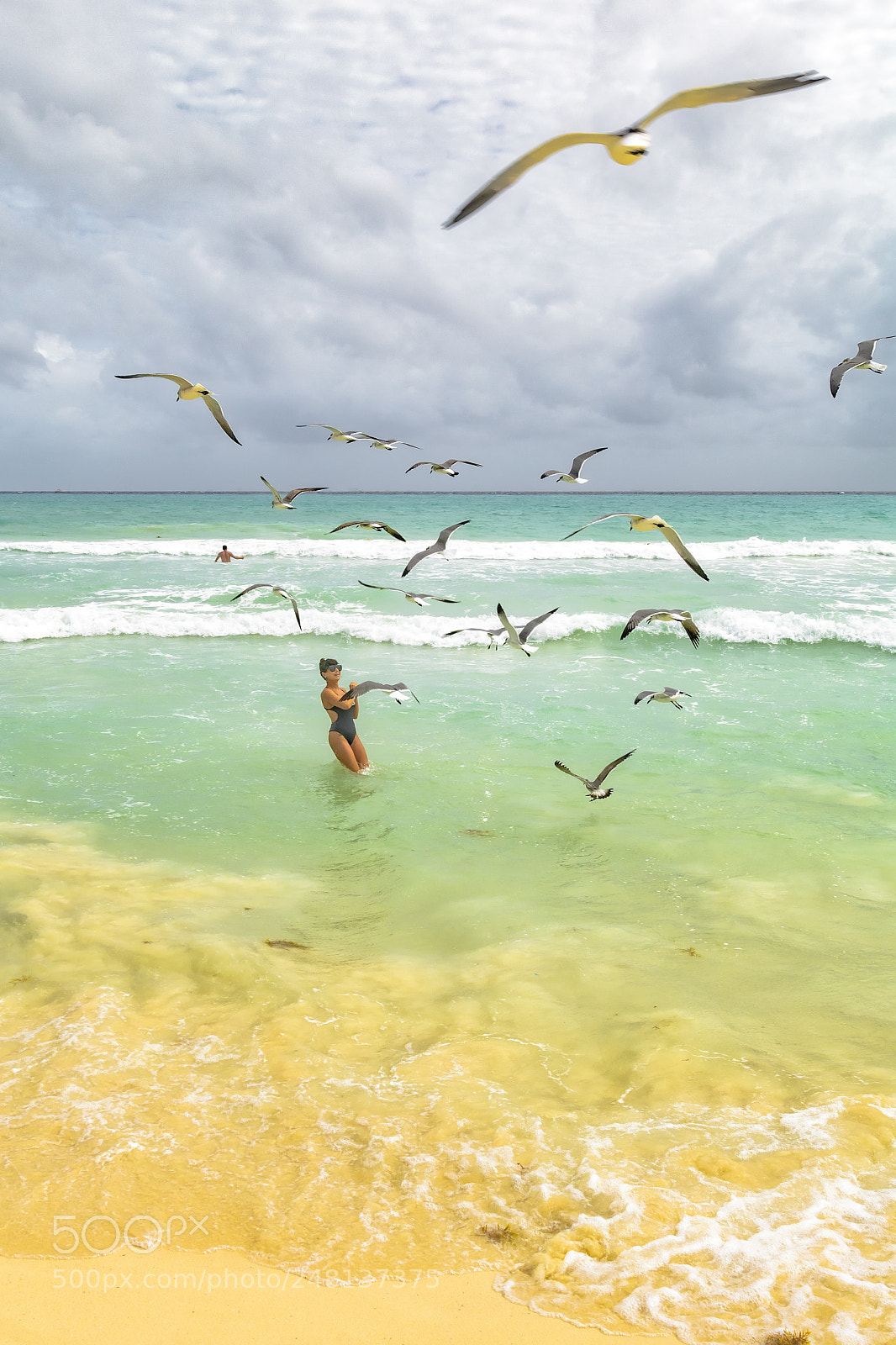 Canon EOS 760D (EOS Rebel T6s / EOS 8000D) sample photo. Mexican seagulls photography