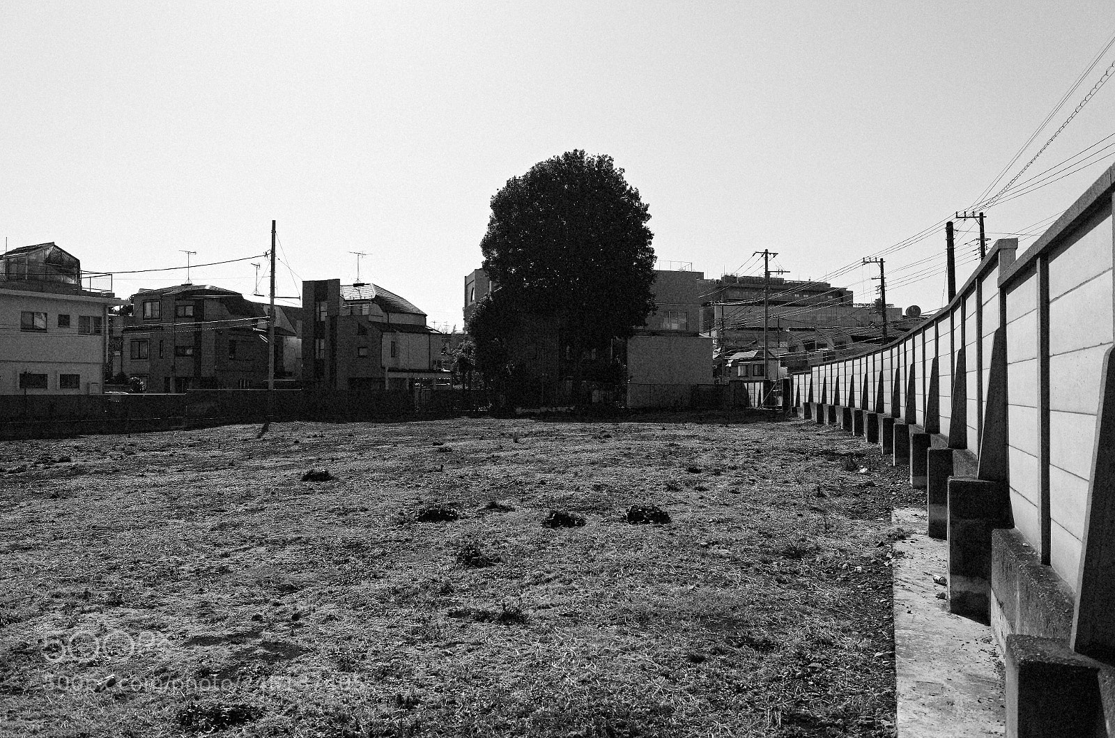 Ricoh GR sample photo. Untitled photography