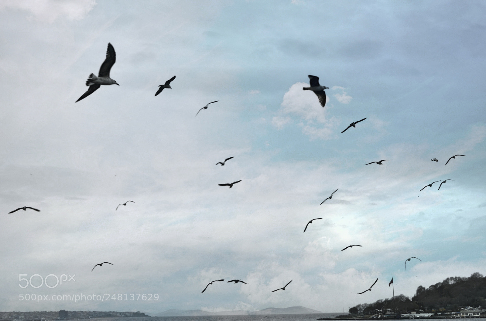 Nikon D5100 sample photo. İstanbul photography