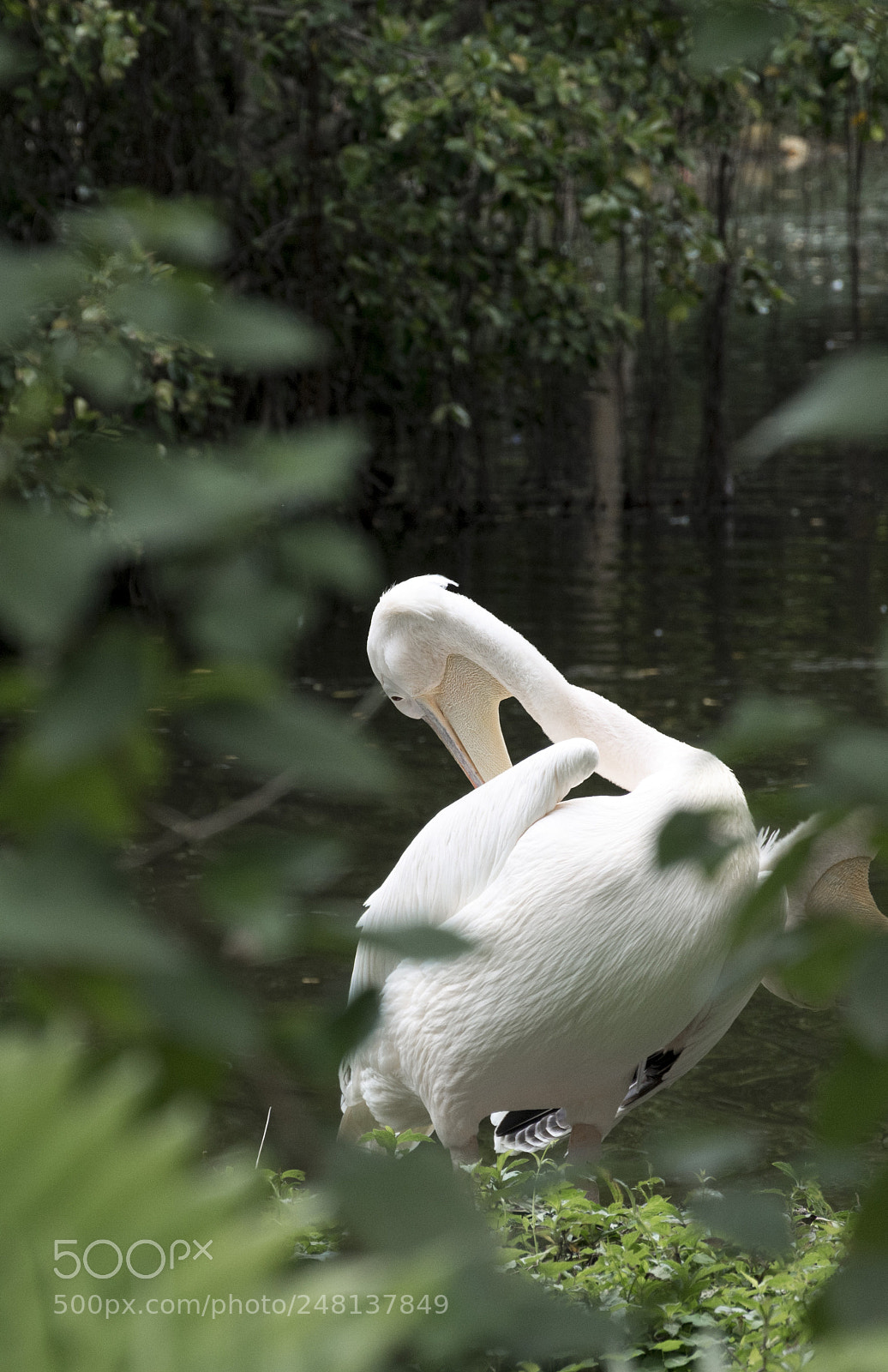 Nikon D7100 sample photo. It seems that someone photography