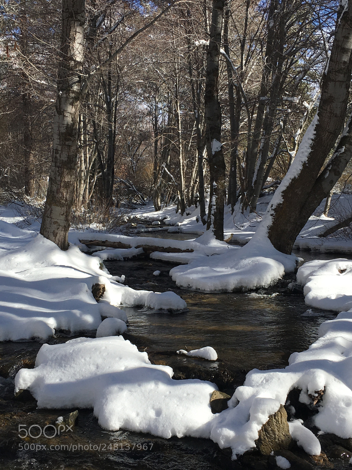 Apple iPhone 6s sample photo. Winter beauty photography