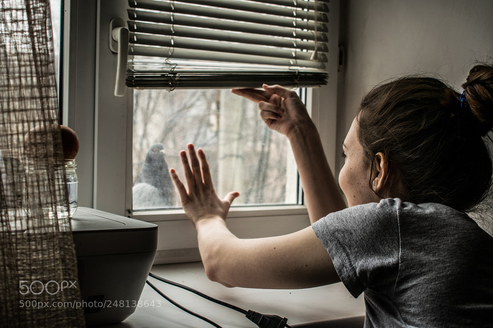 Nikon D5300 sample photo. Голубь photography