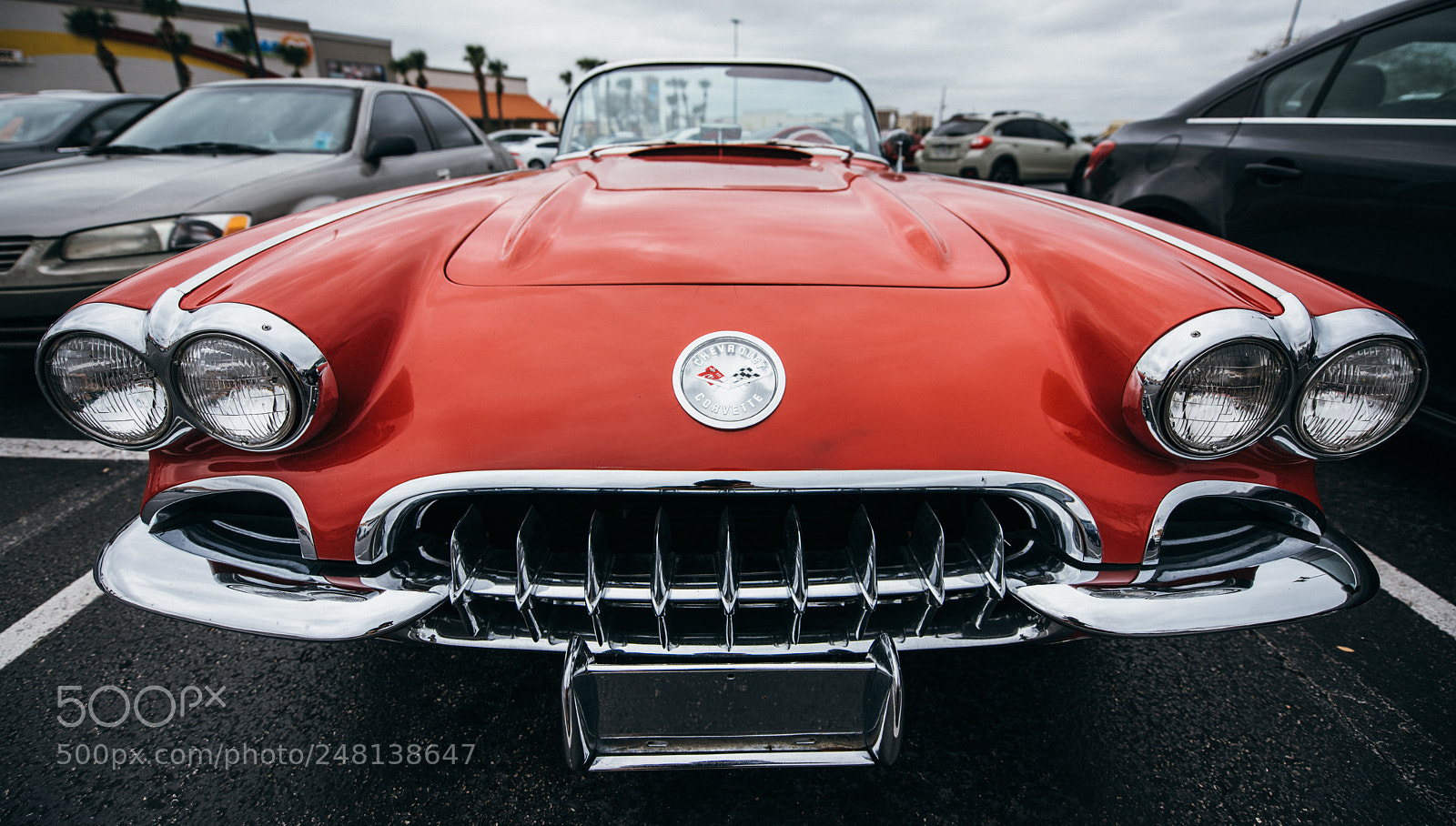 Nikon D810 sample photo. Classic corvette ii photography