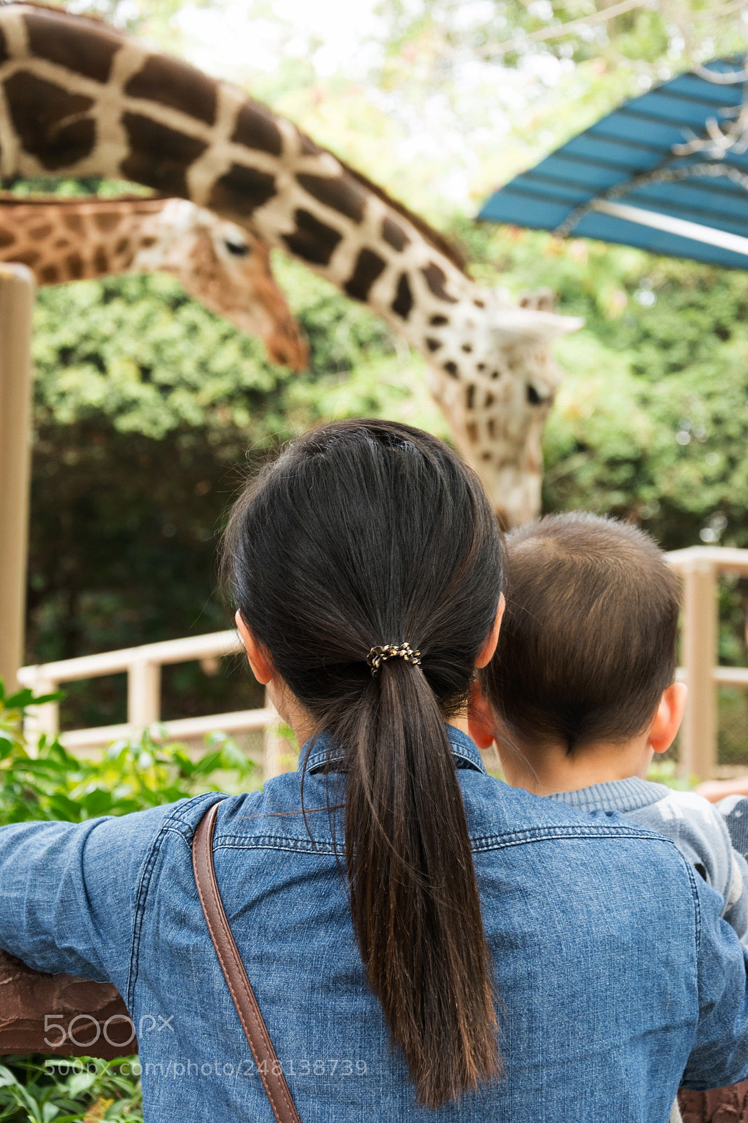 Nikon D7100 sample photo. Mum, the giraffe is photography