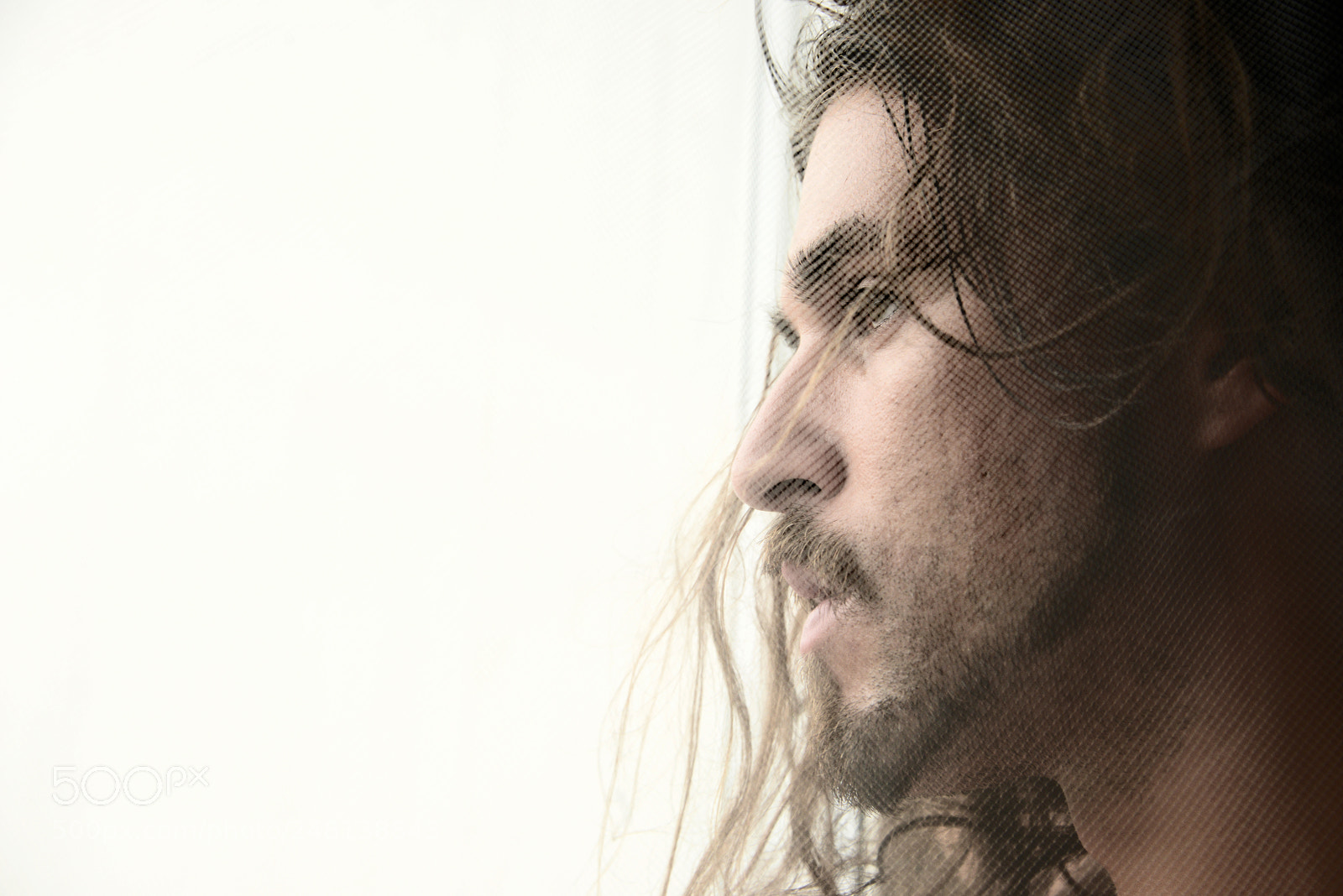 Nikon D800 sample photo. Dreamy photography