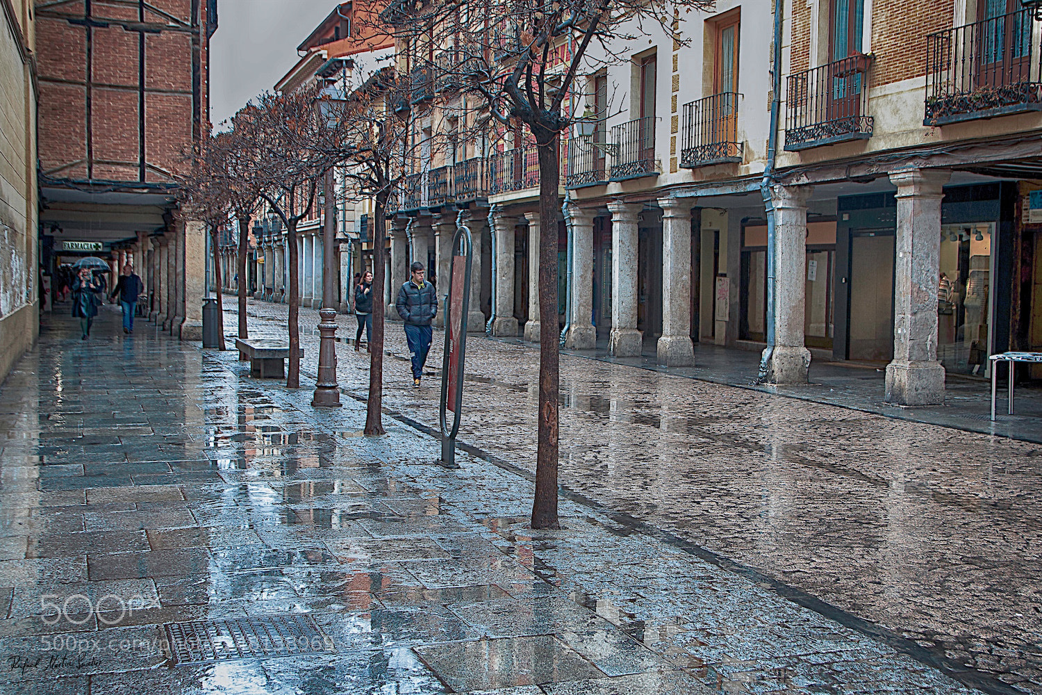 Canon EOS 80D sample photo. Dia de lluvia en photography