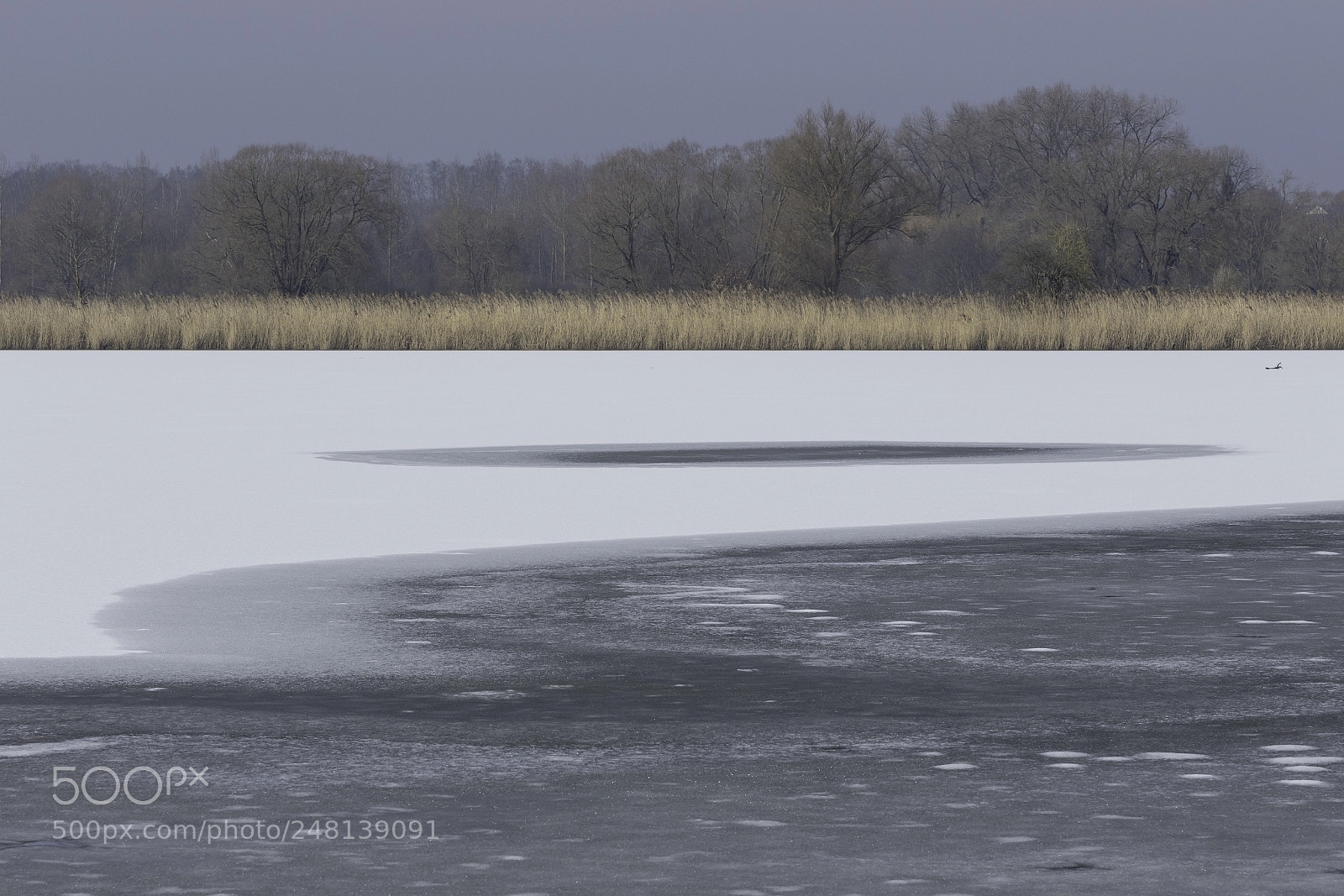 Canon EOS 7D Mark II sample photo. The smell of spring photography