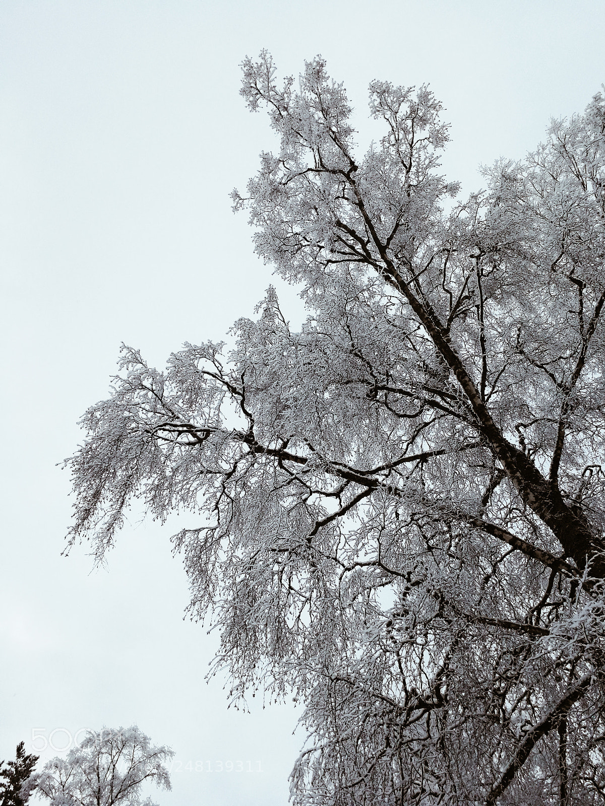HUAWEI P10 sample photo. Swedish winter. photography